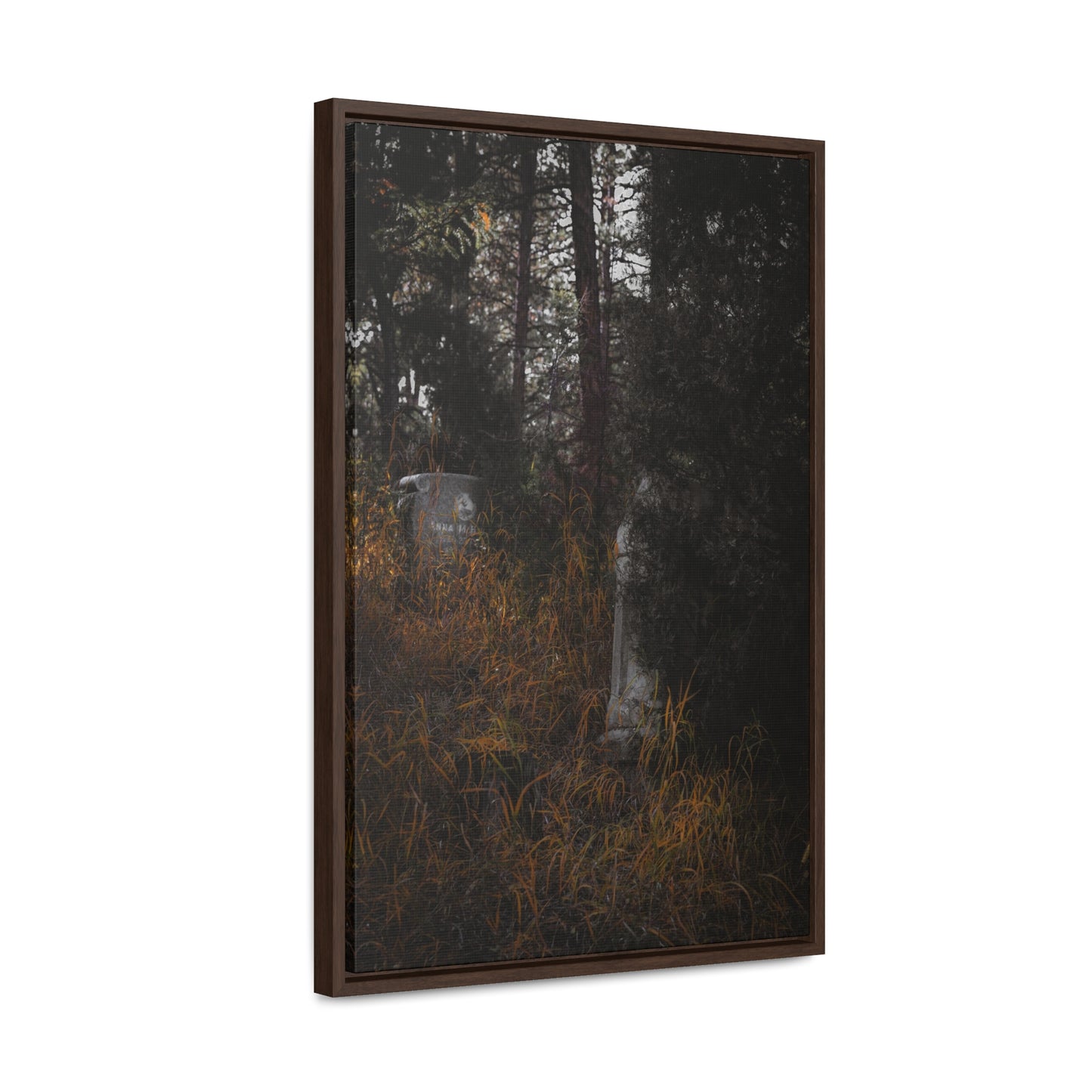 "Hidden Stories" Gallery Canvas Wraps, Vertical Frame