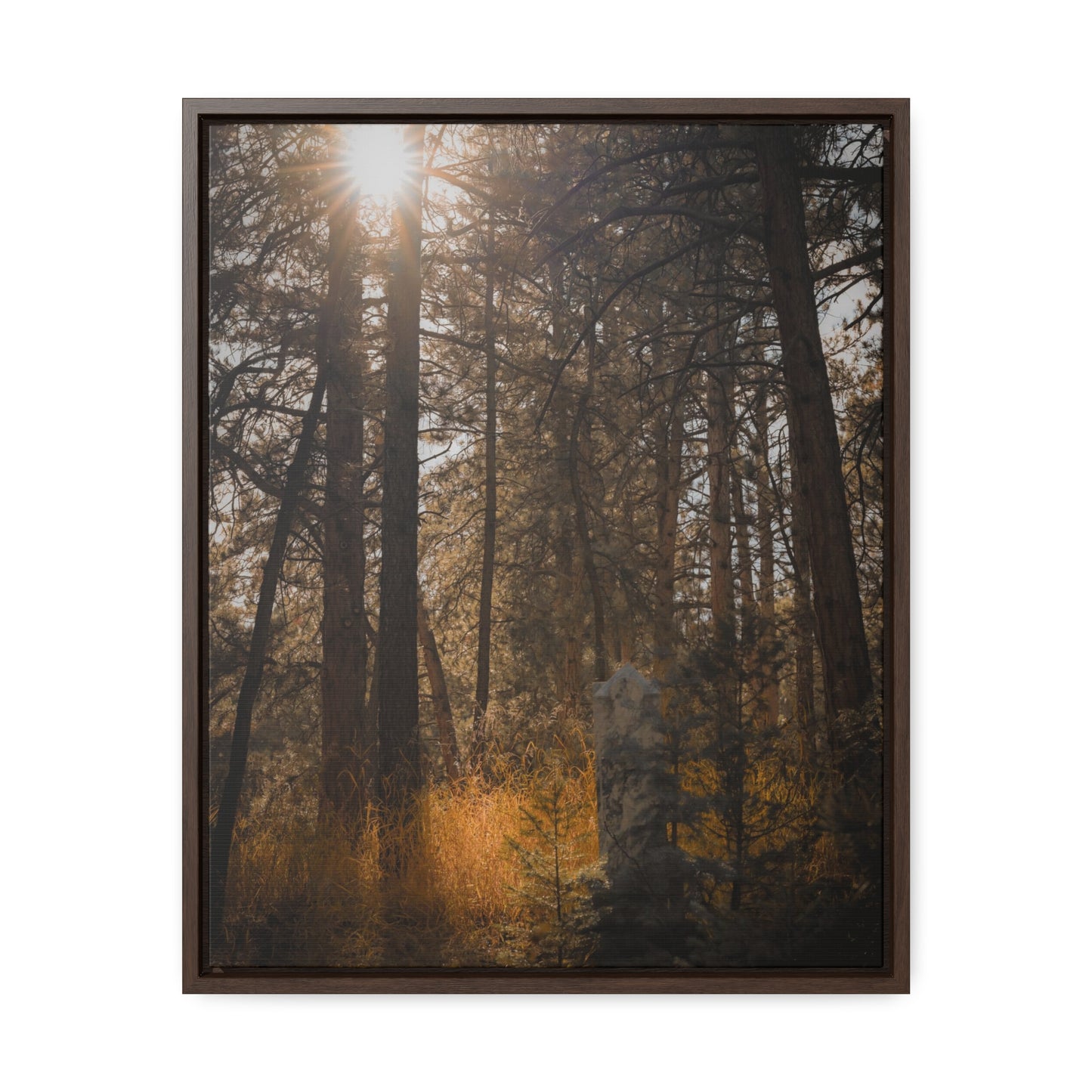 The Sun in the Cemetery Gallery Canvas Wraps, Vertical Frame