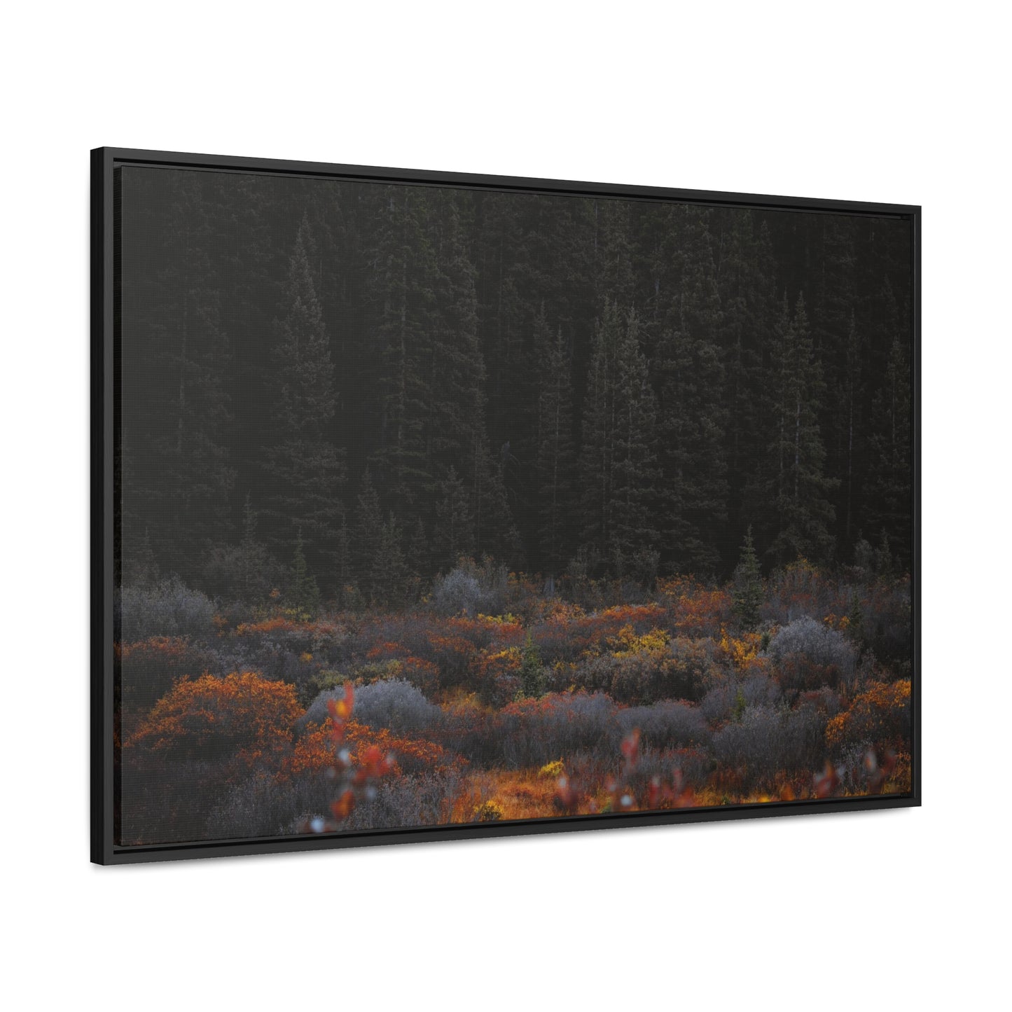 Moody Forest Framed Gallery Canvas