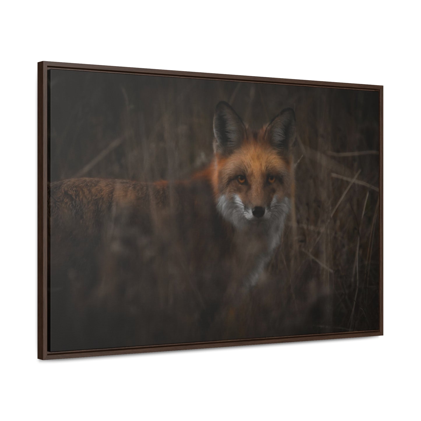 Fox Framed Gallery Canvas