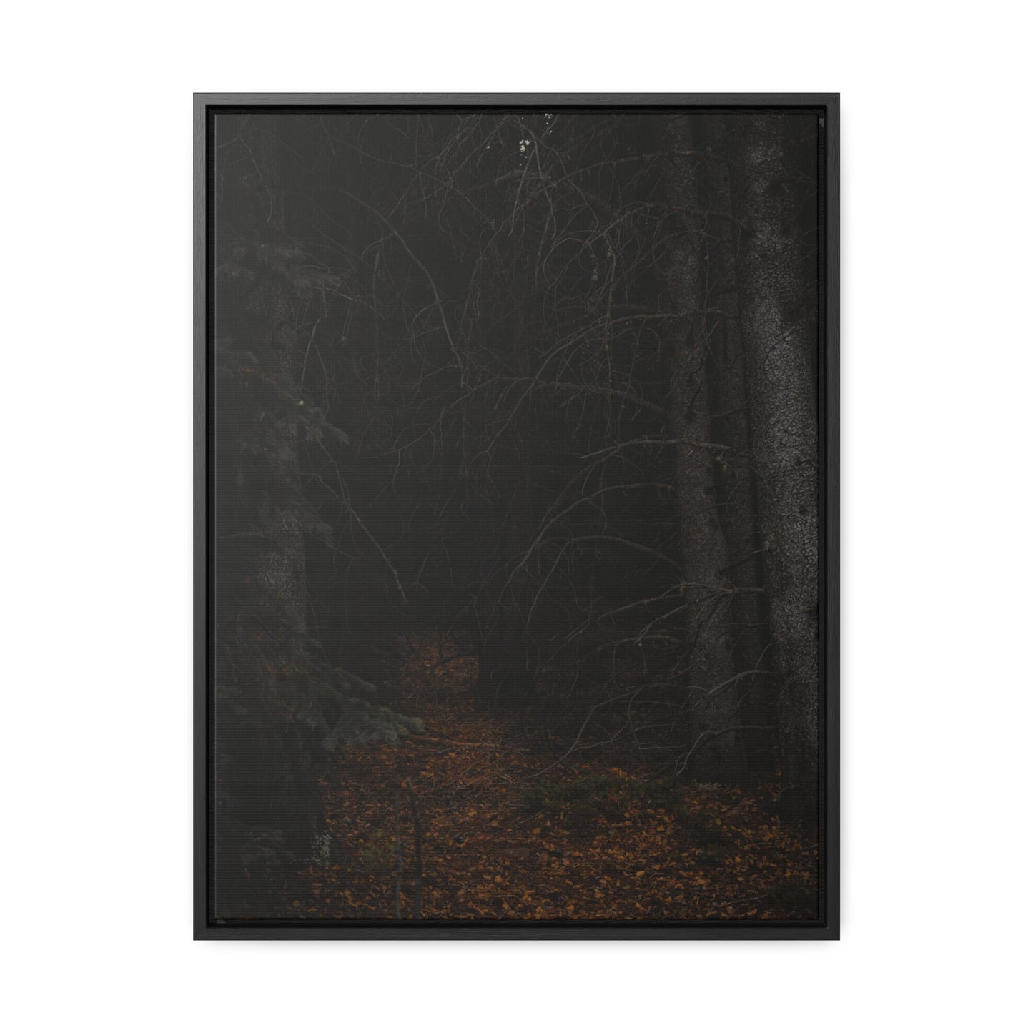 Into the Woods Gallery Canvas Wraps, Vertical Frame