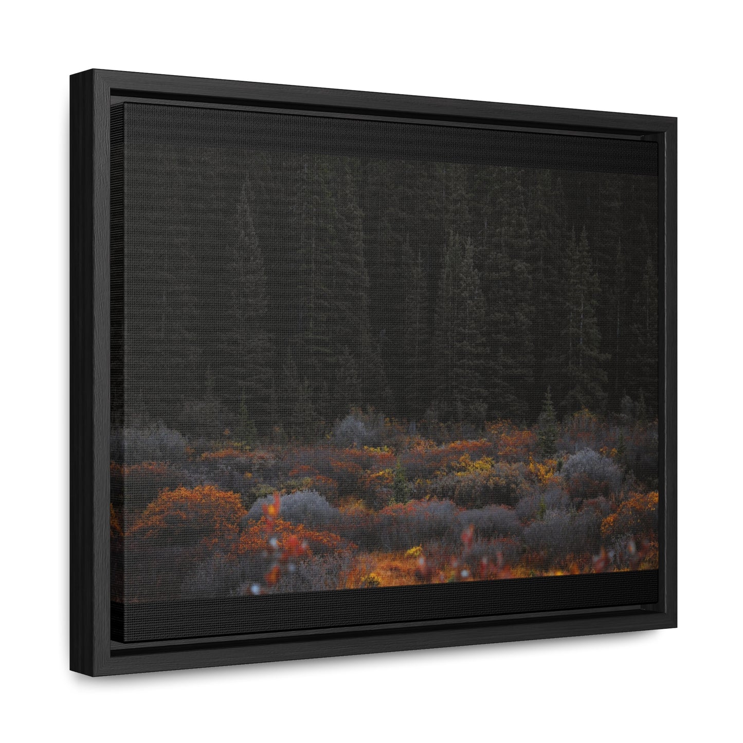 Moody Forest Framed Gallery Canvas