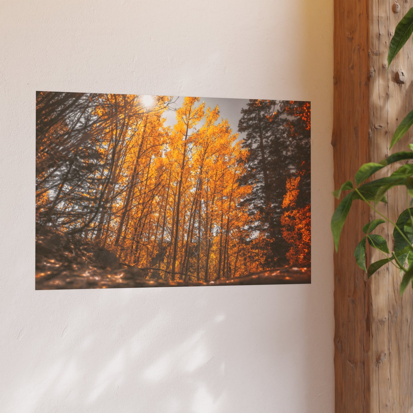 "Autumn's Light" Fine Art Print