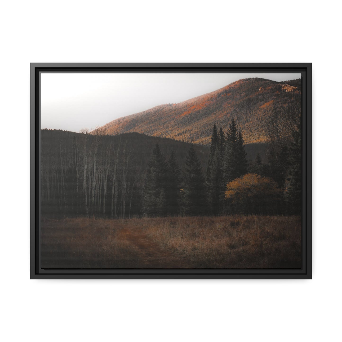 Evening Glow Framed Canvas