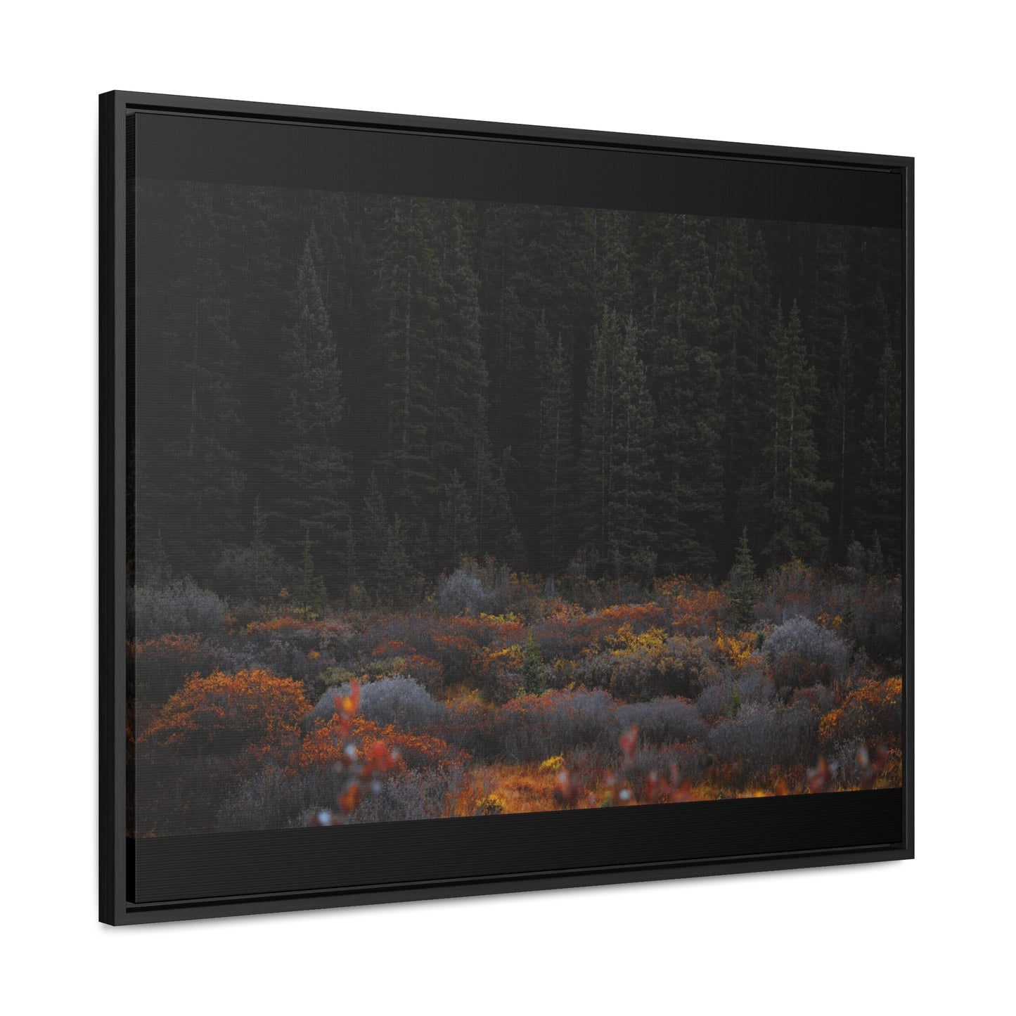 Moody Forest Framed Gallery Canvas