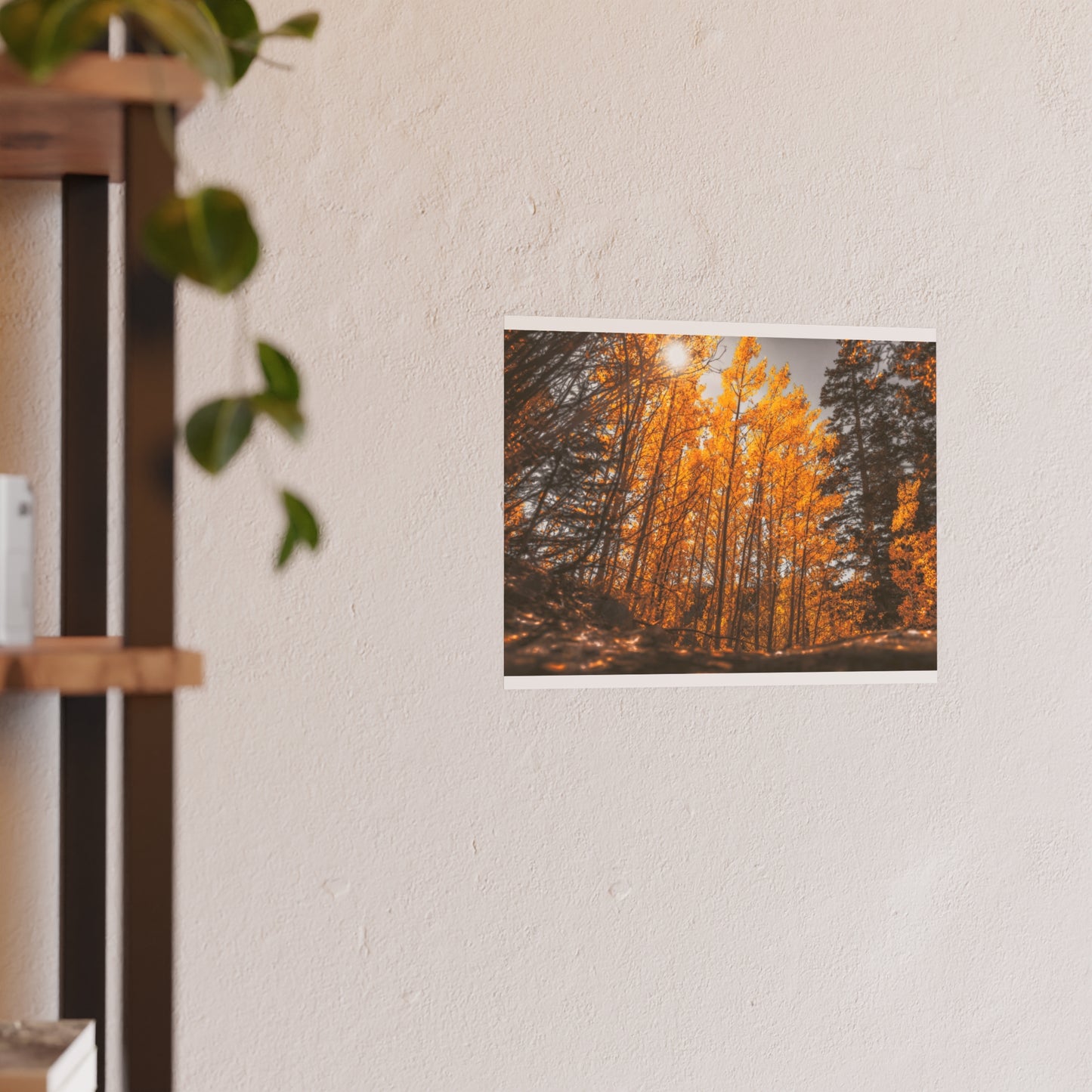 "Autumn's Light" Fine Art Print