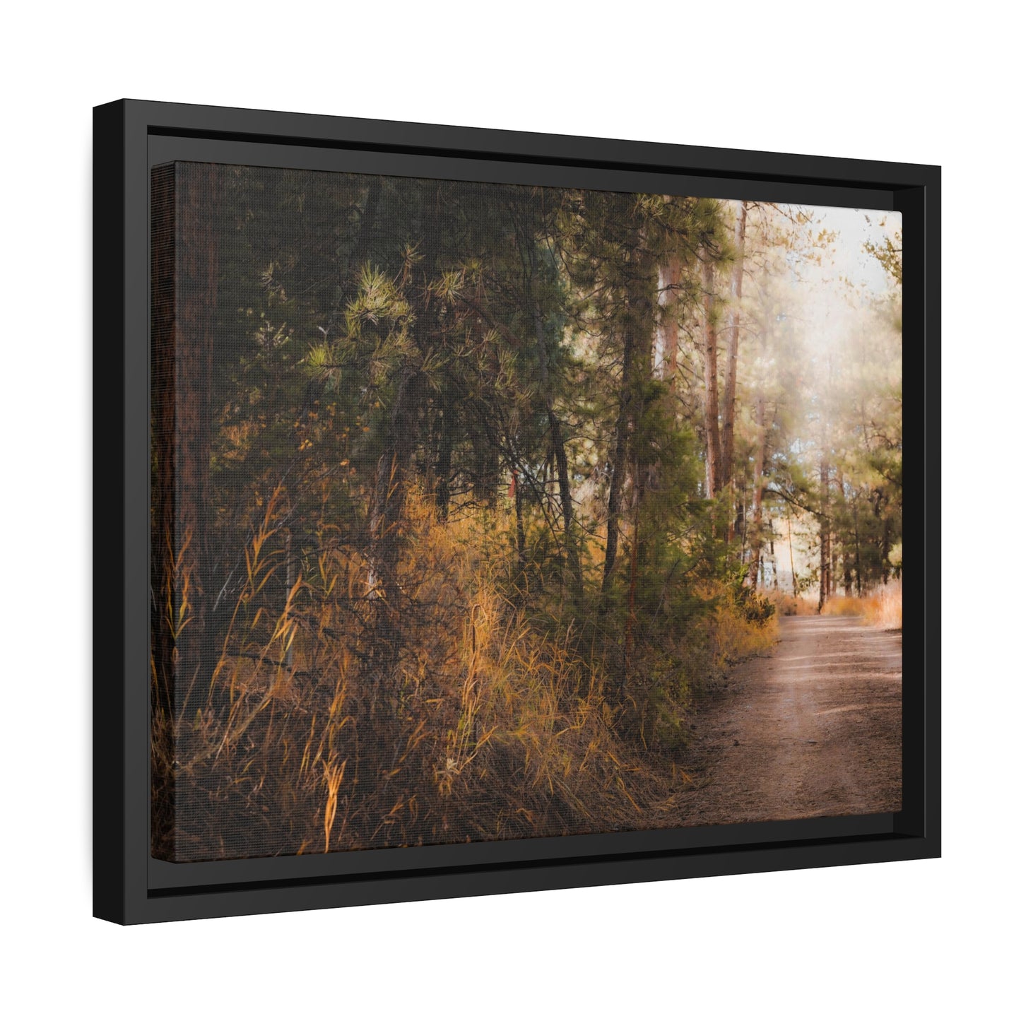 "Cemetery Light" Framed Canvas