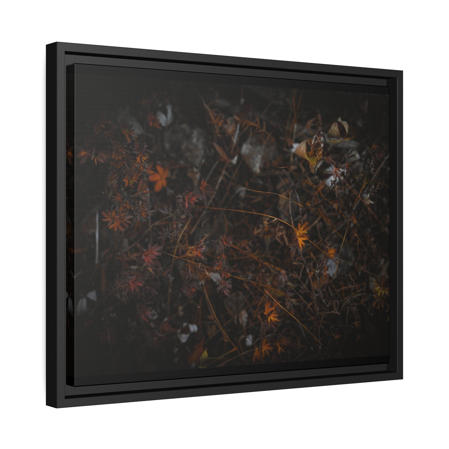 "Autumn's Last Breath" Framed Canvas