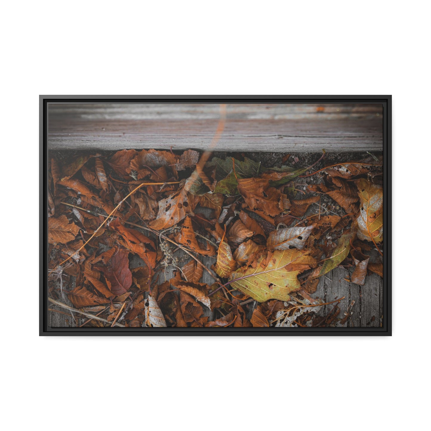 "Leaves on a Bridge" Framed Canvas