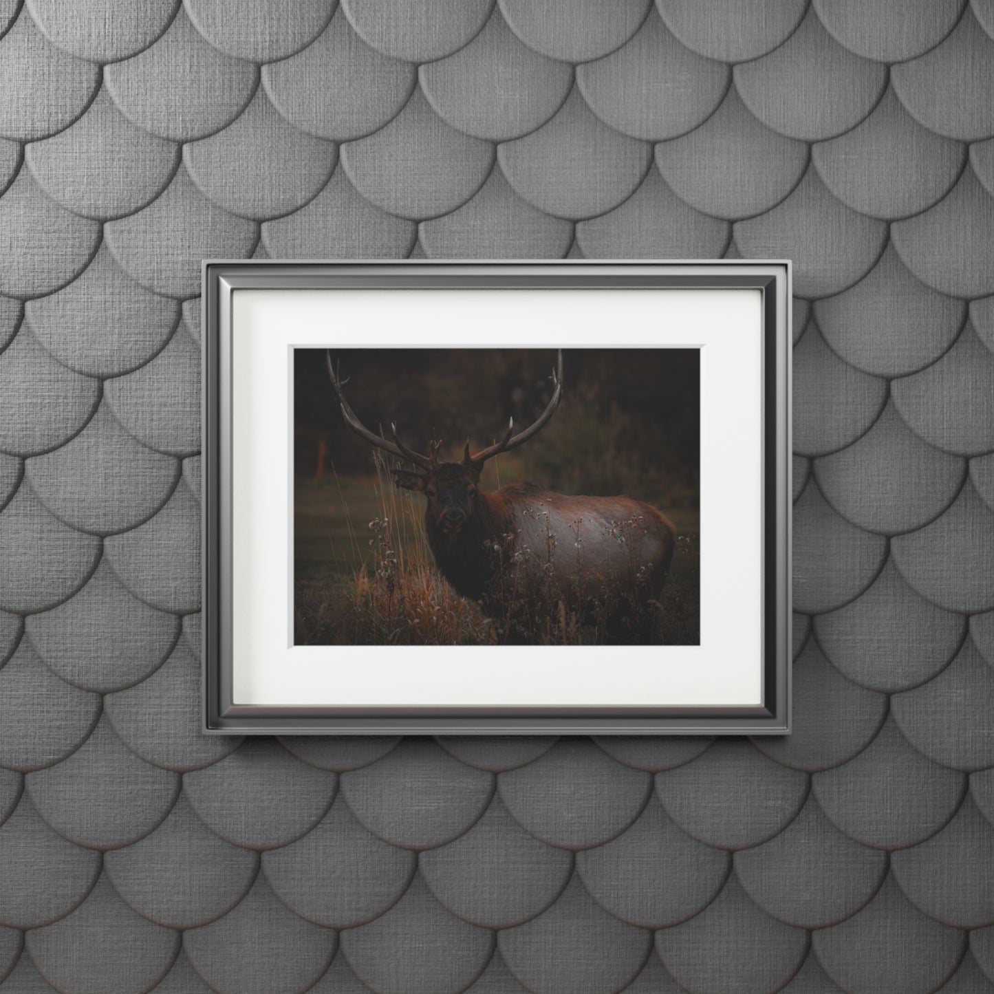 "The Look" Fine Art Prints (Passepartout Paper Frame)