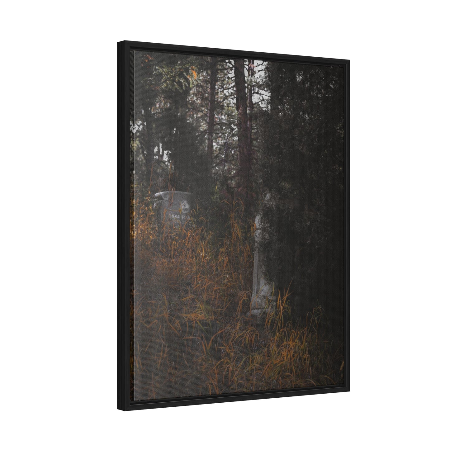 "Hidden Stories" Gallery Canvas Wraps, Vertical Frame