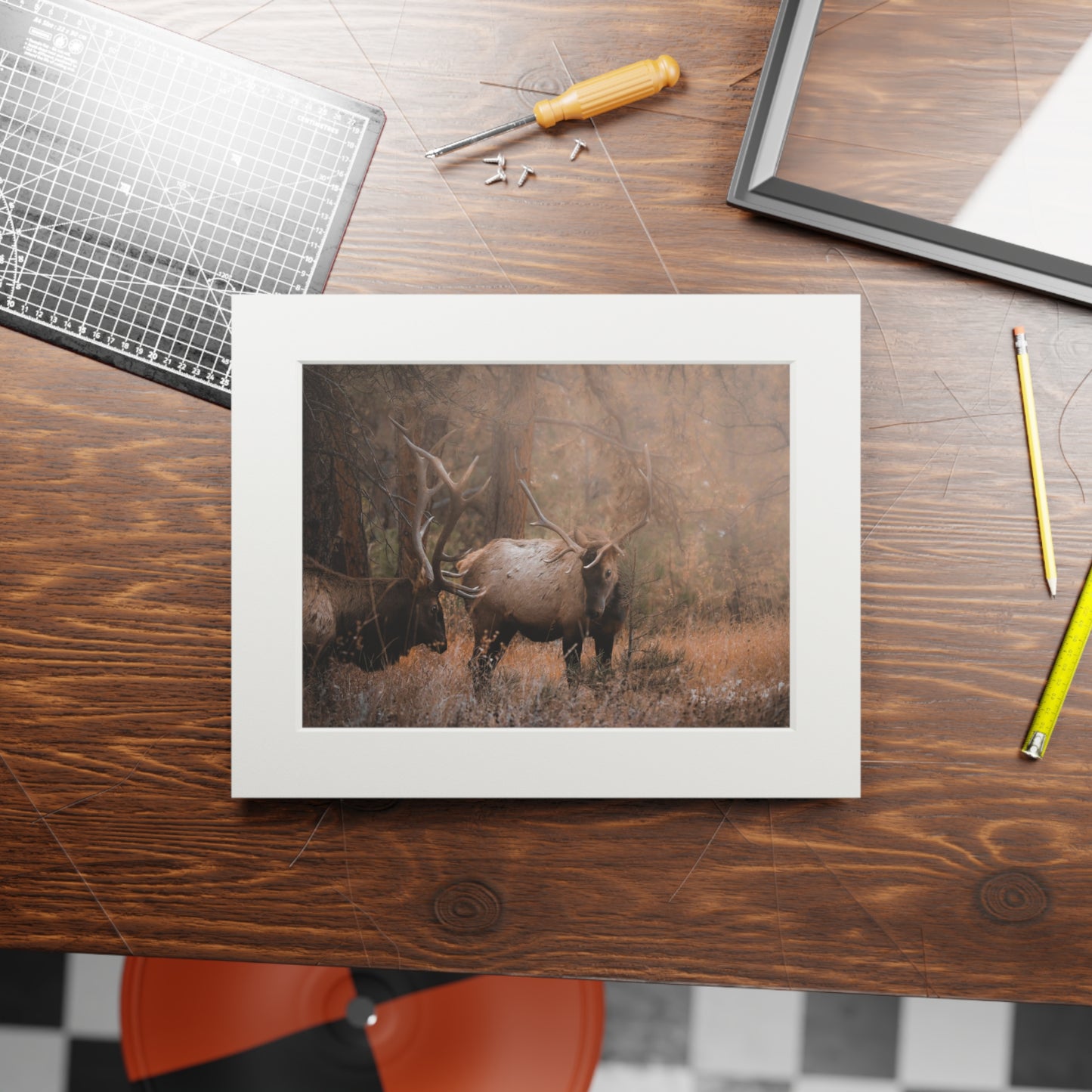 "The Bulls" Fine Art Prints (Passepartout Paper Frame)