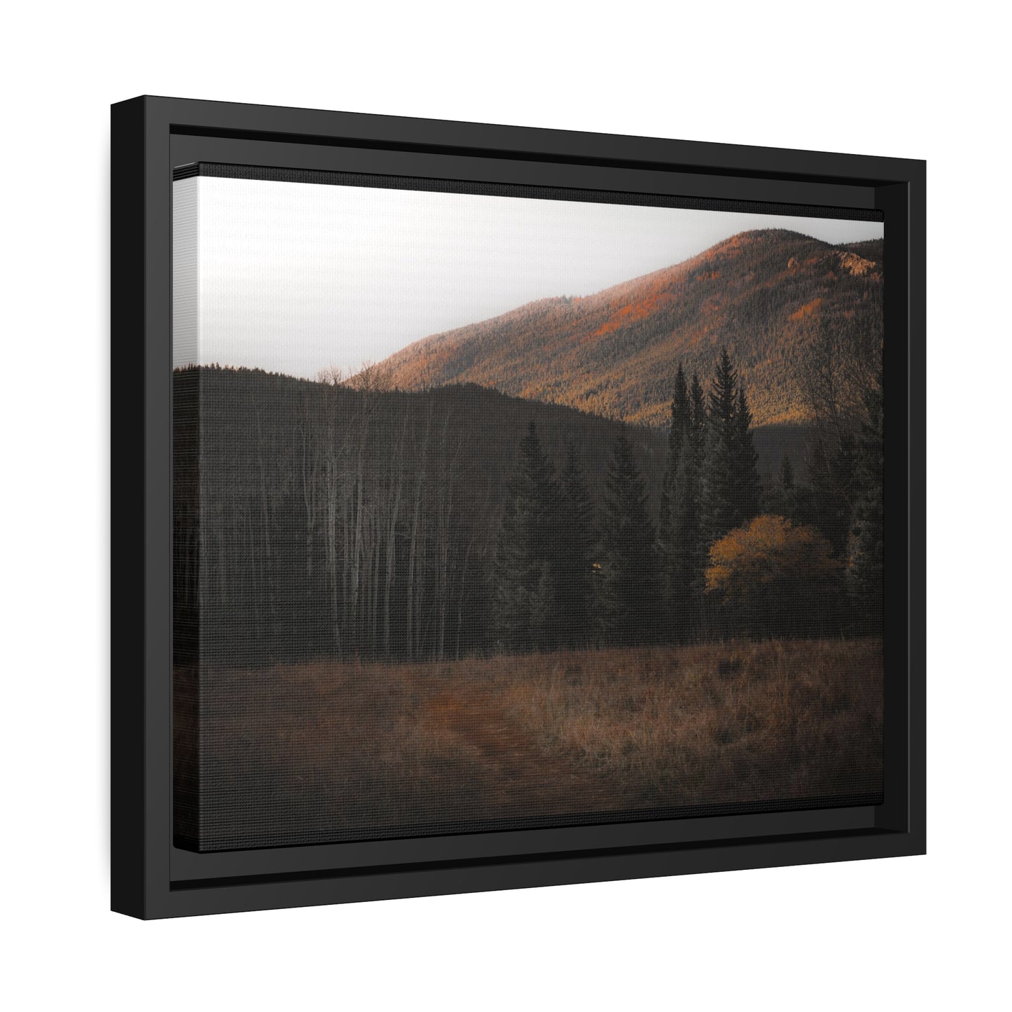 Evening Glow Framed Canvas