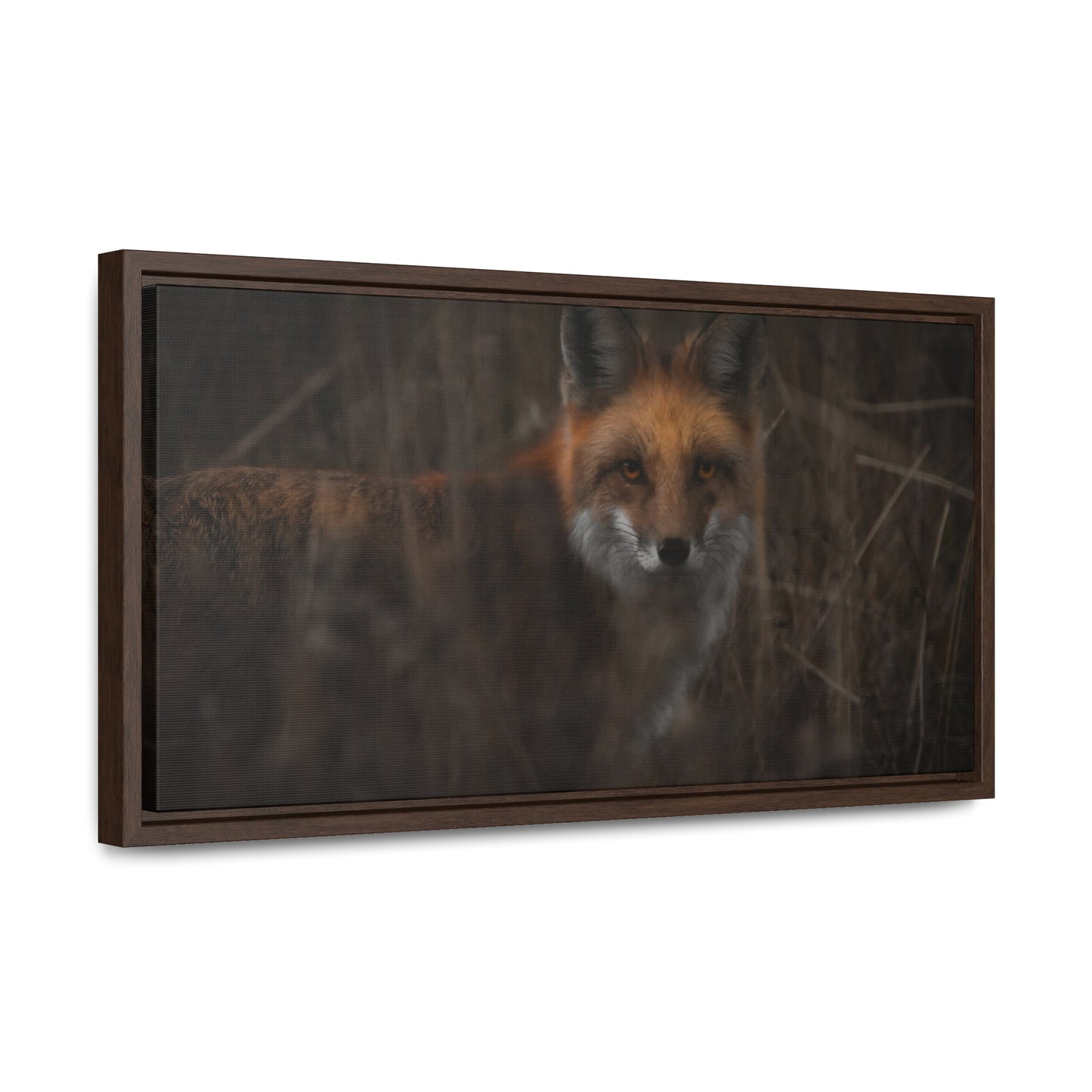 Fox Framed Gallery Canvas