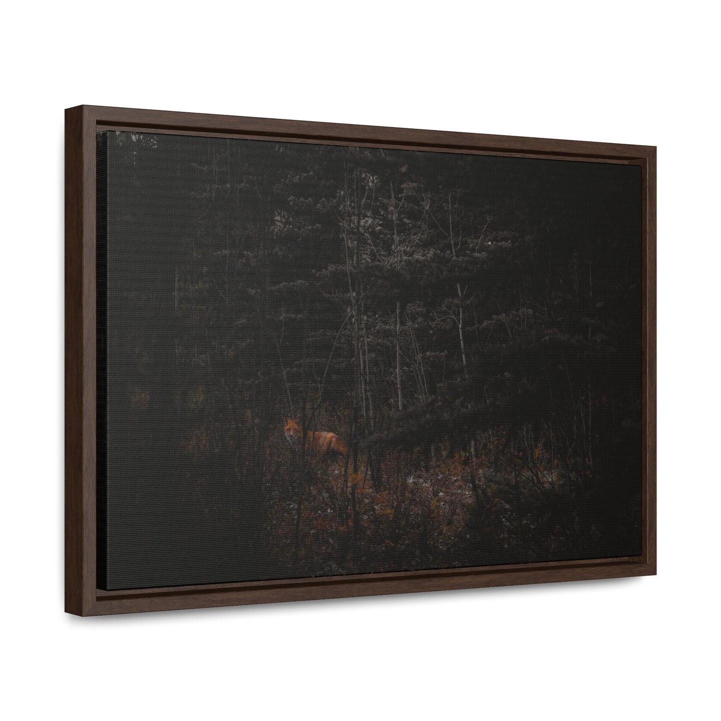 The Fox of the Forest Framed Gallery Canvas