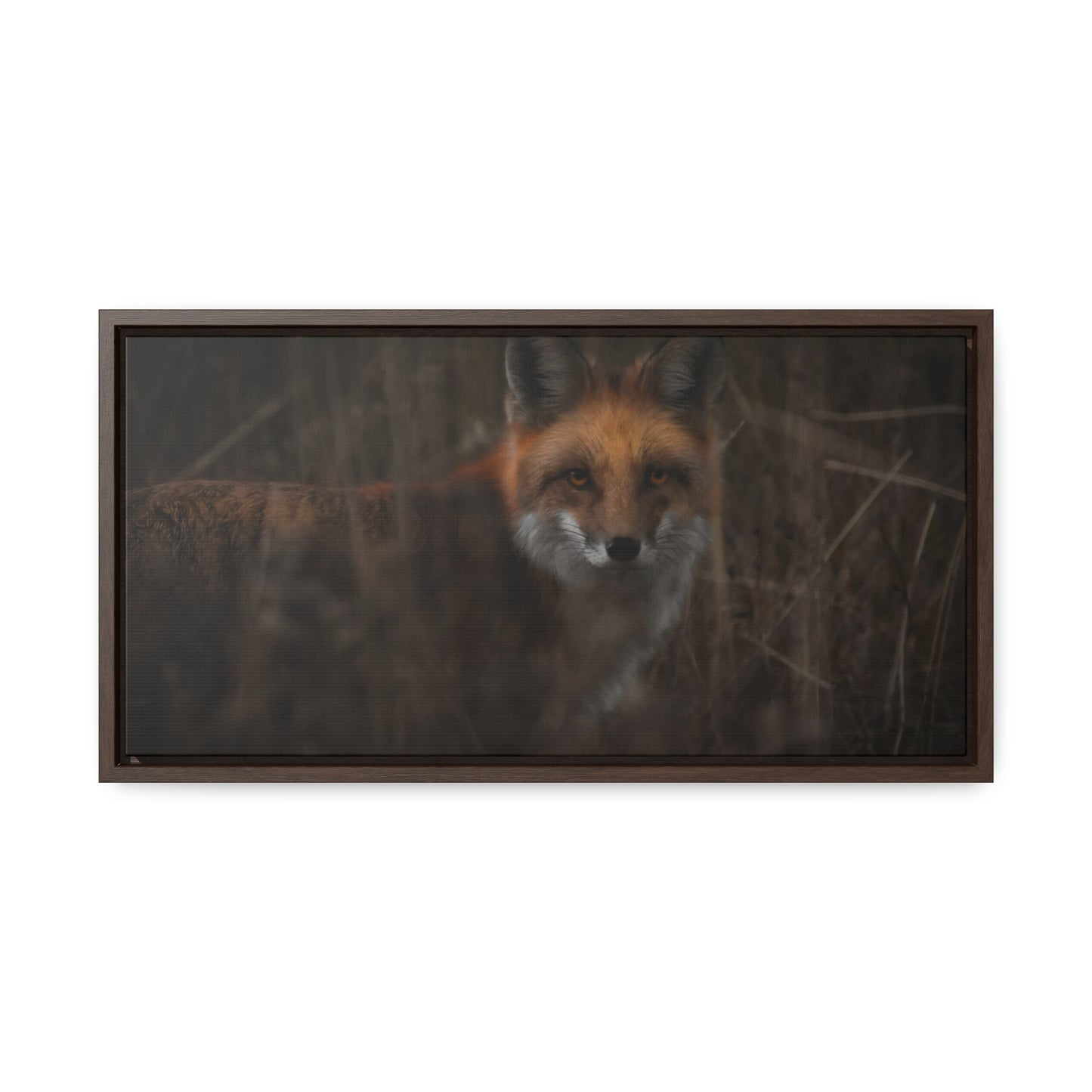 Fox Framed Gallery Canvas