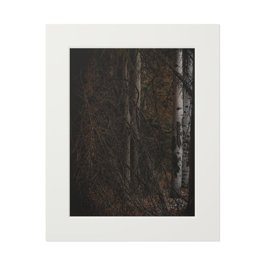 "The Dark Forest" Fine Art Prints (Passepartout Paper Frame)
