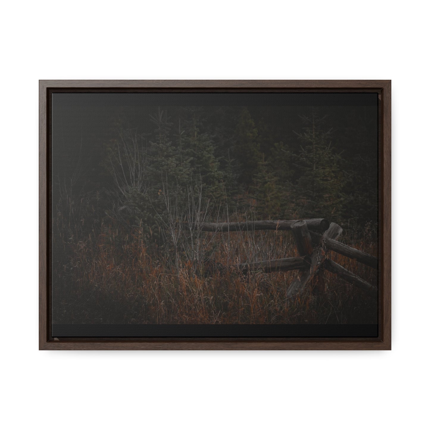 Countryside Forest Framed Gallery Canvas