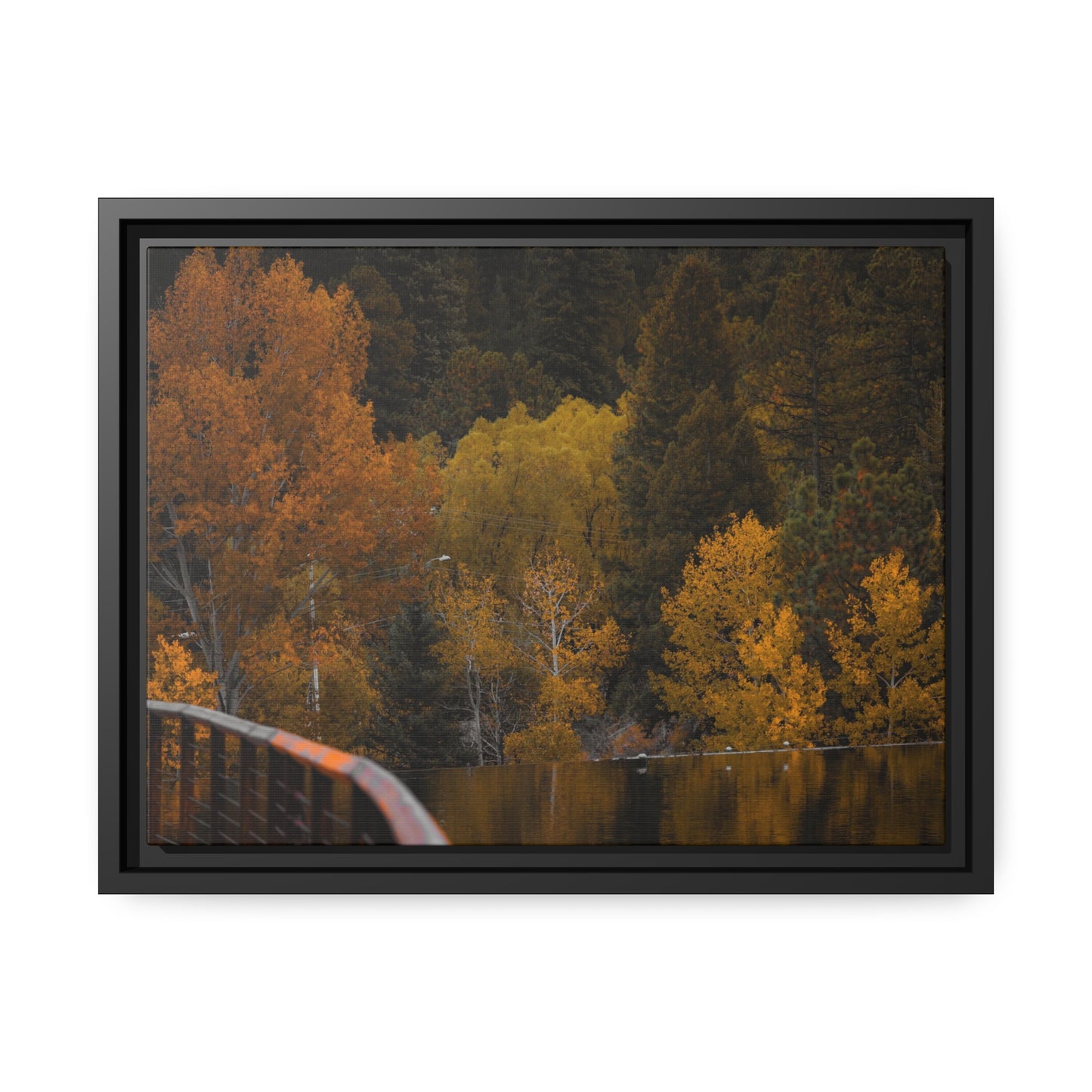 Fall Feelings Framed Canvas