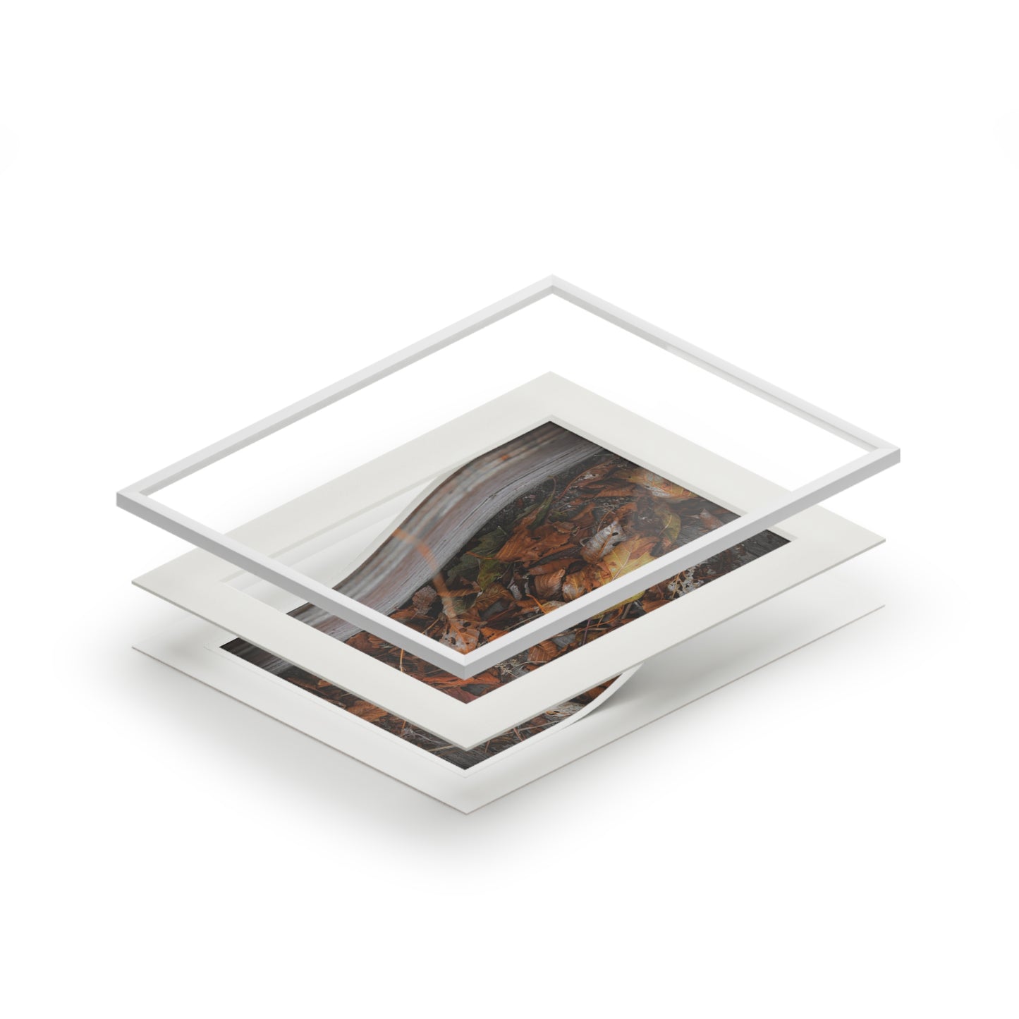 "Leaves on a Bridge" Fine Art Prints (Passepartout Paper Frame)