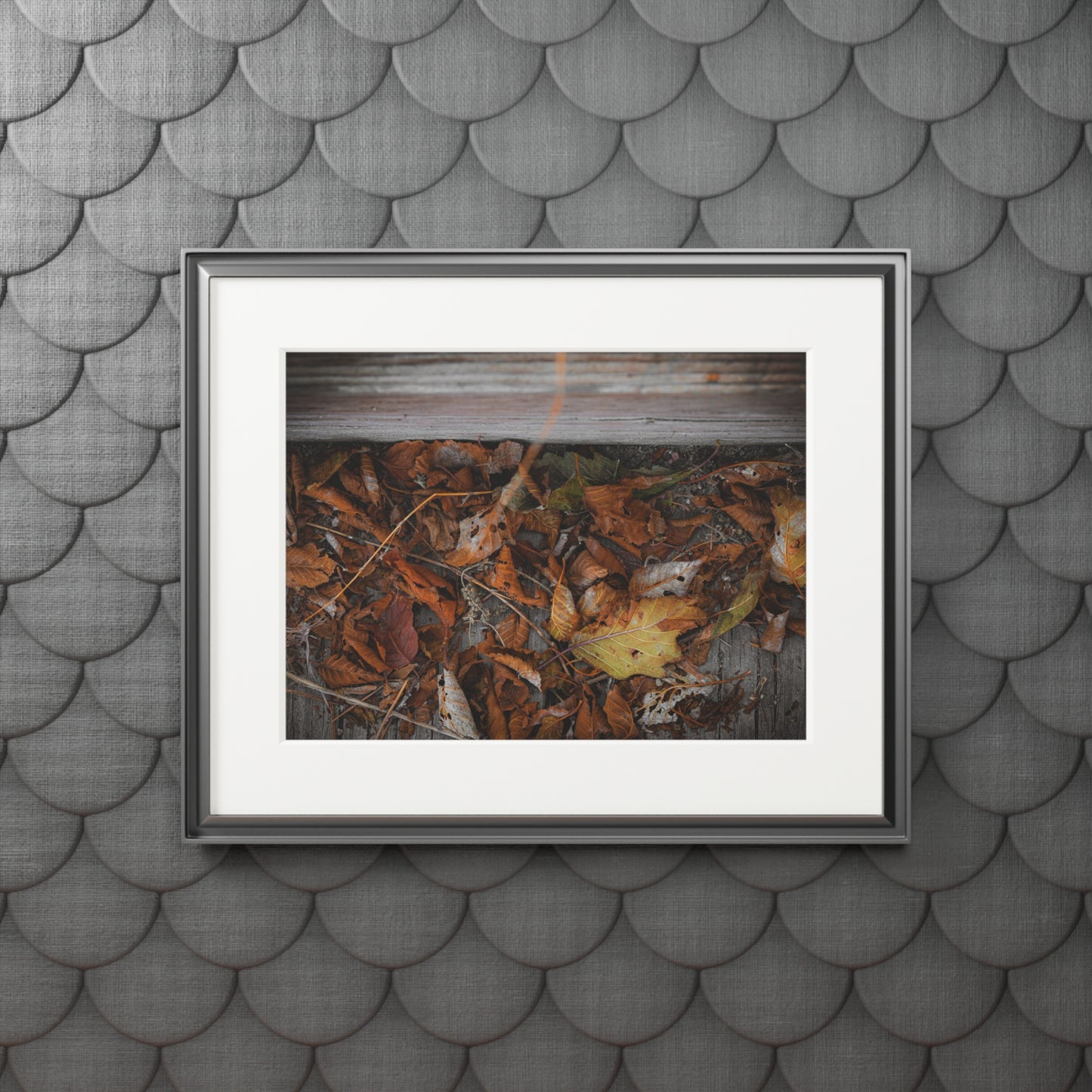 "Leaves on a Bridge" Fine Art Prints (Passepartout Paper Frame)