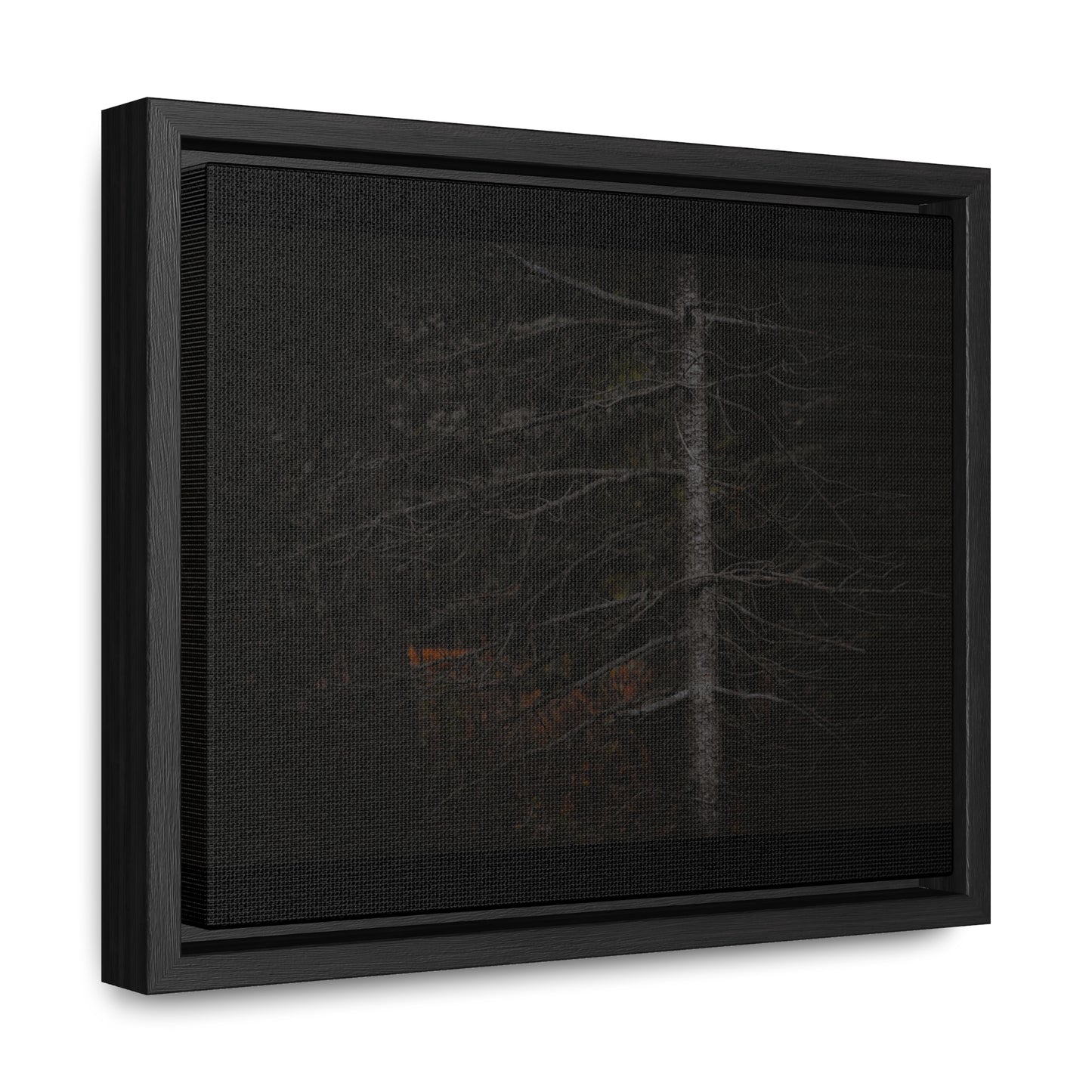 Beauty in Darkness Framed Gallery Canvas