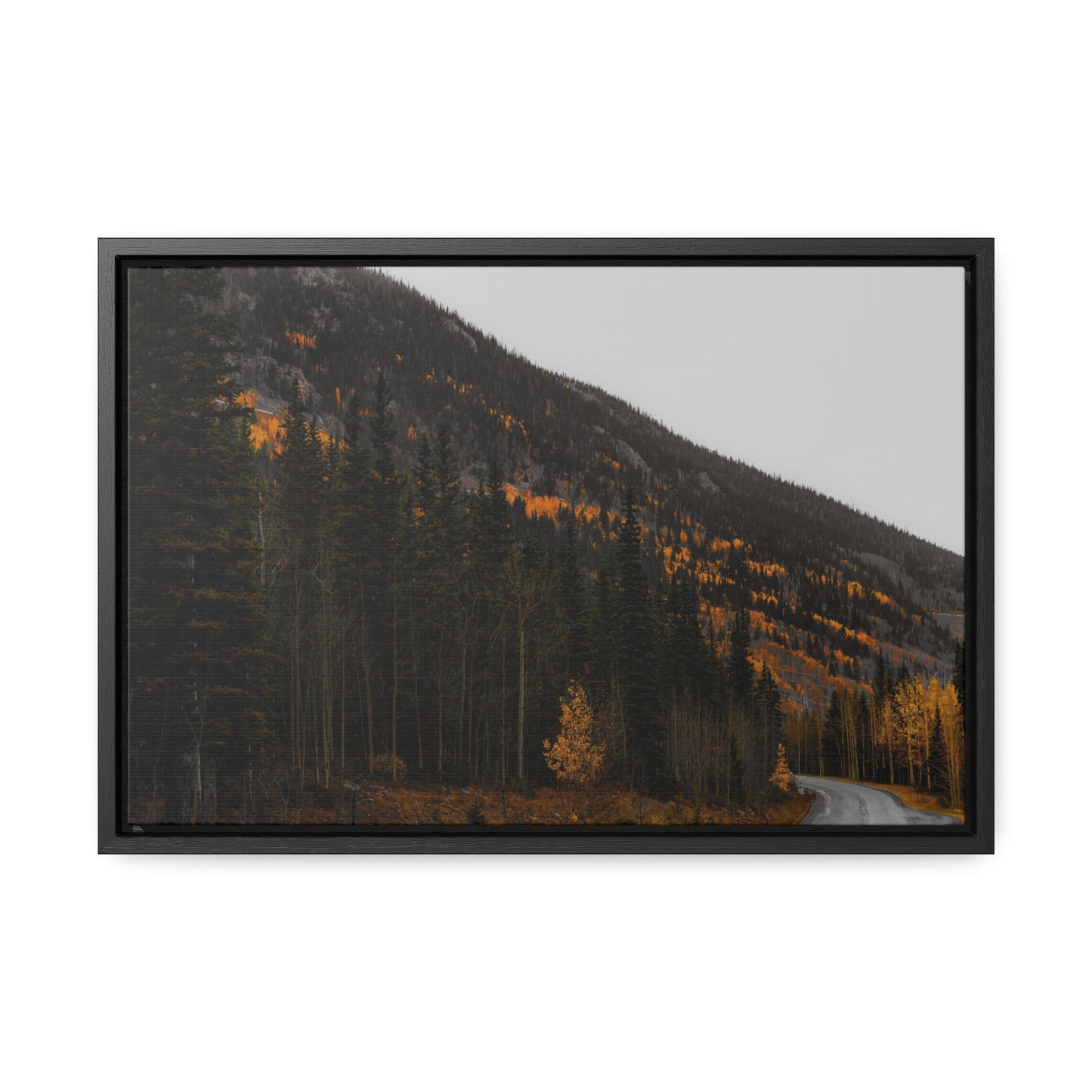 The Lonely Road Framed Gallery Canvas