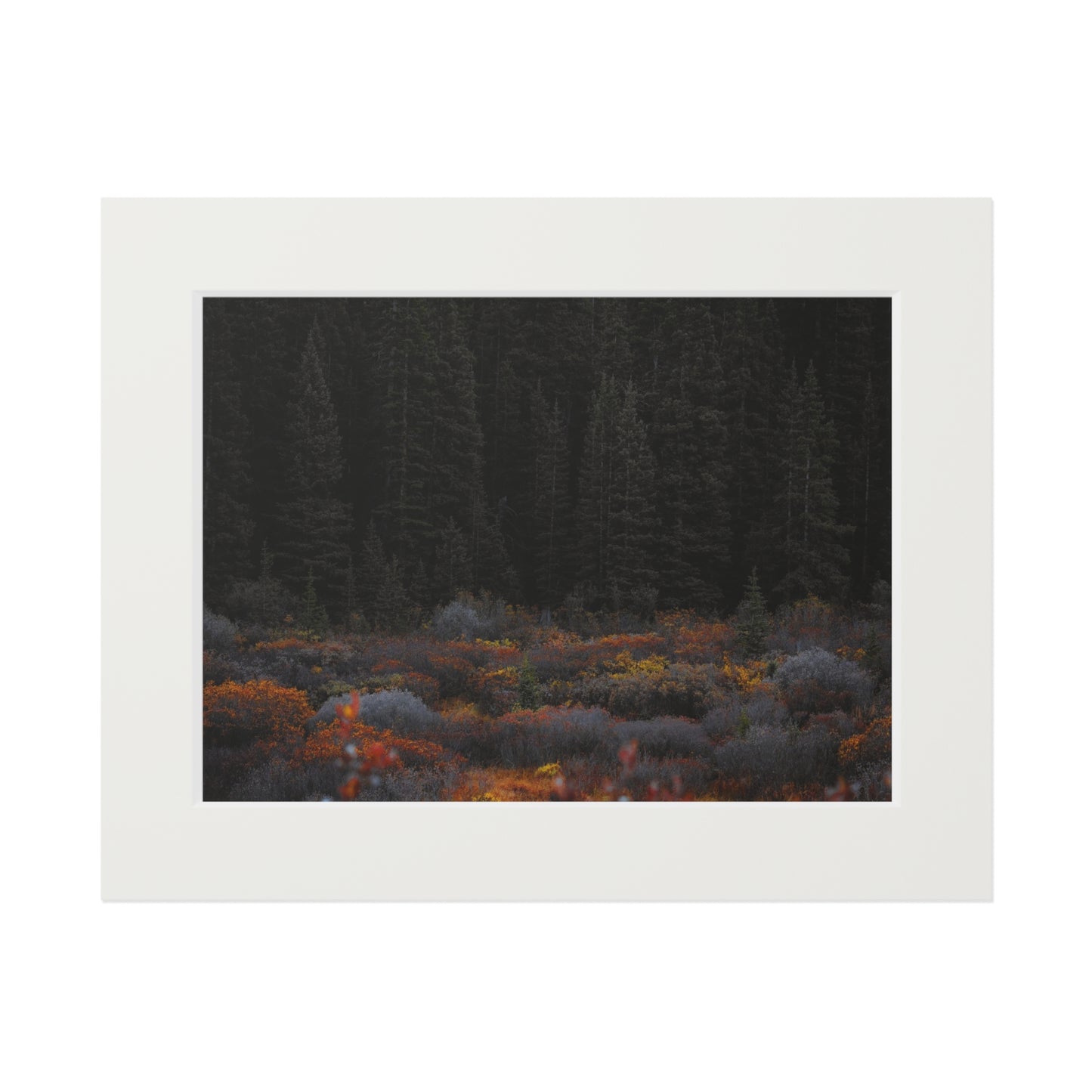 "Moody Forest" Fine Art Prints (Passepartout Paper Frame)