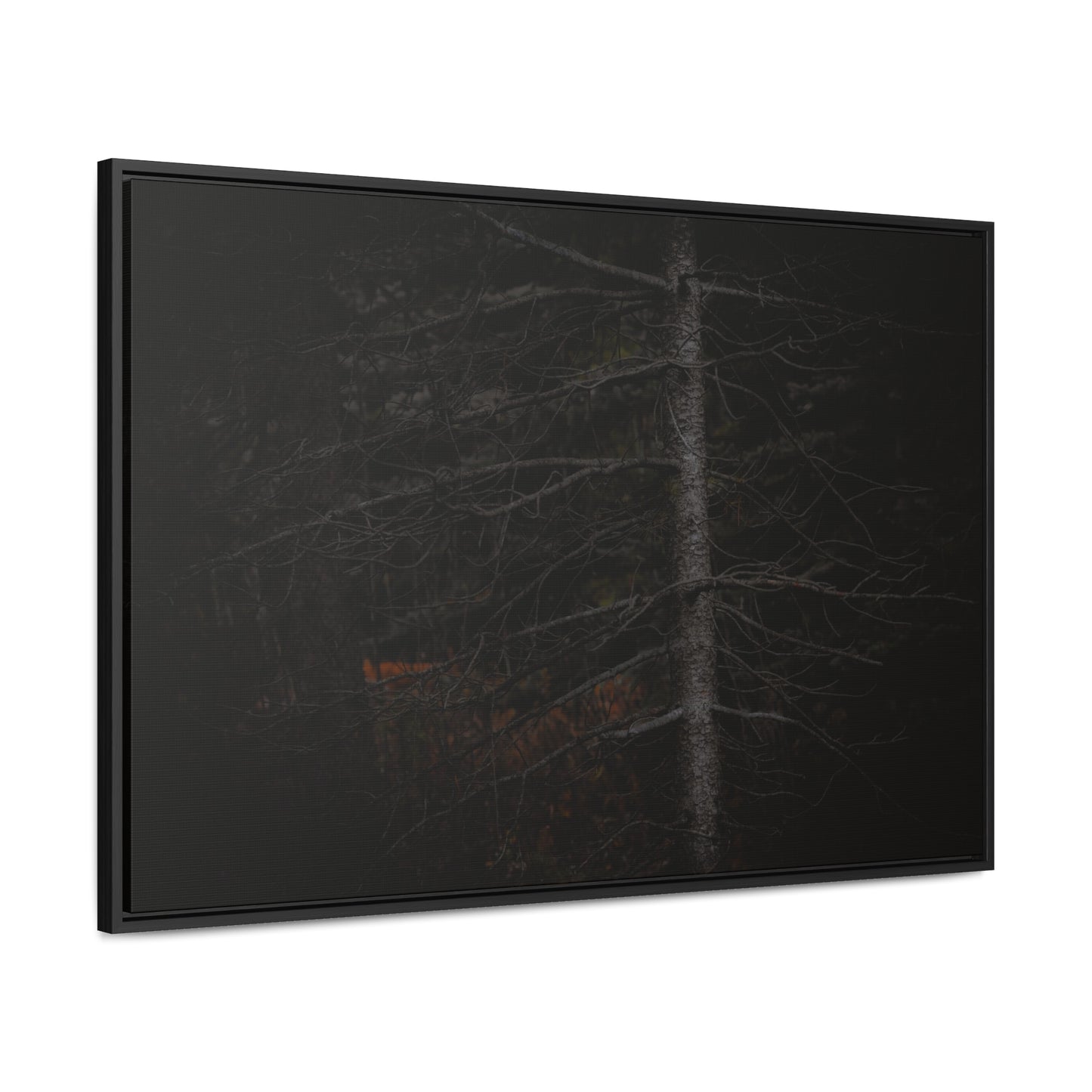 Beauty in Darkness Framed Gallery Canvas