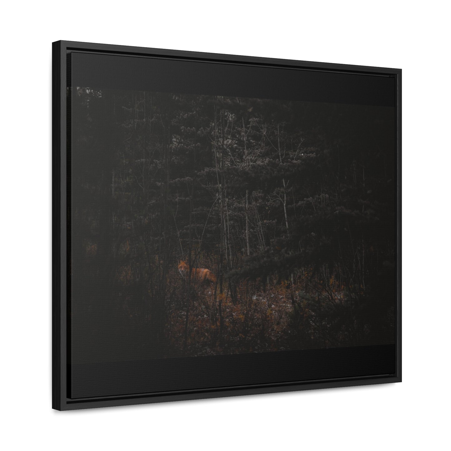 The Fox of the Forest Framed Gallery Canvas