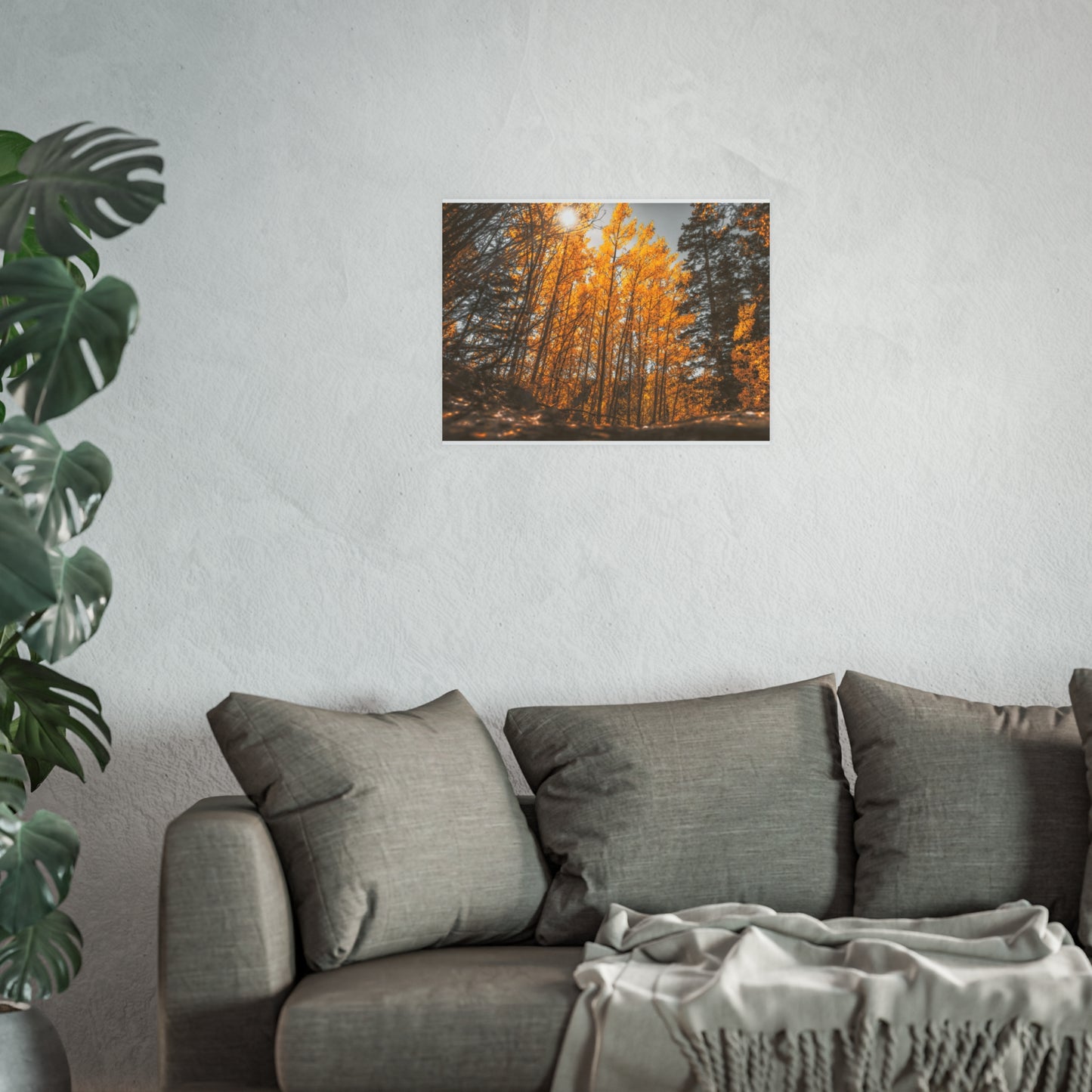 "Autumn's Light" Fine Art Print