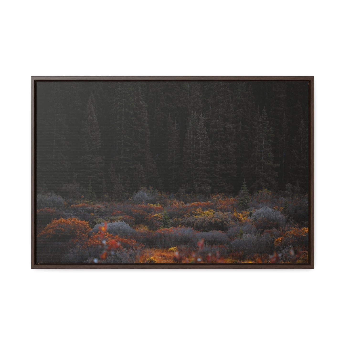 Moody Forest Framed Gallery Canvas