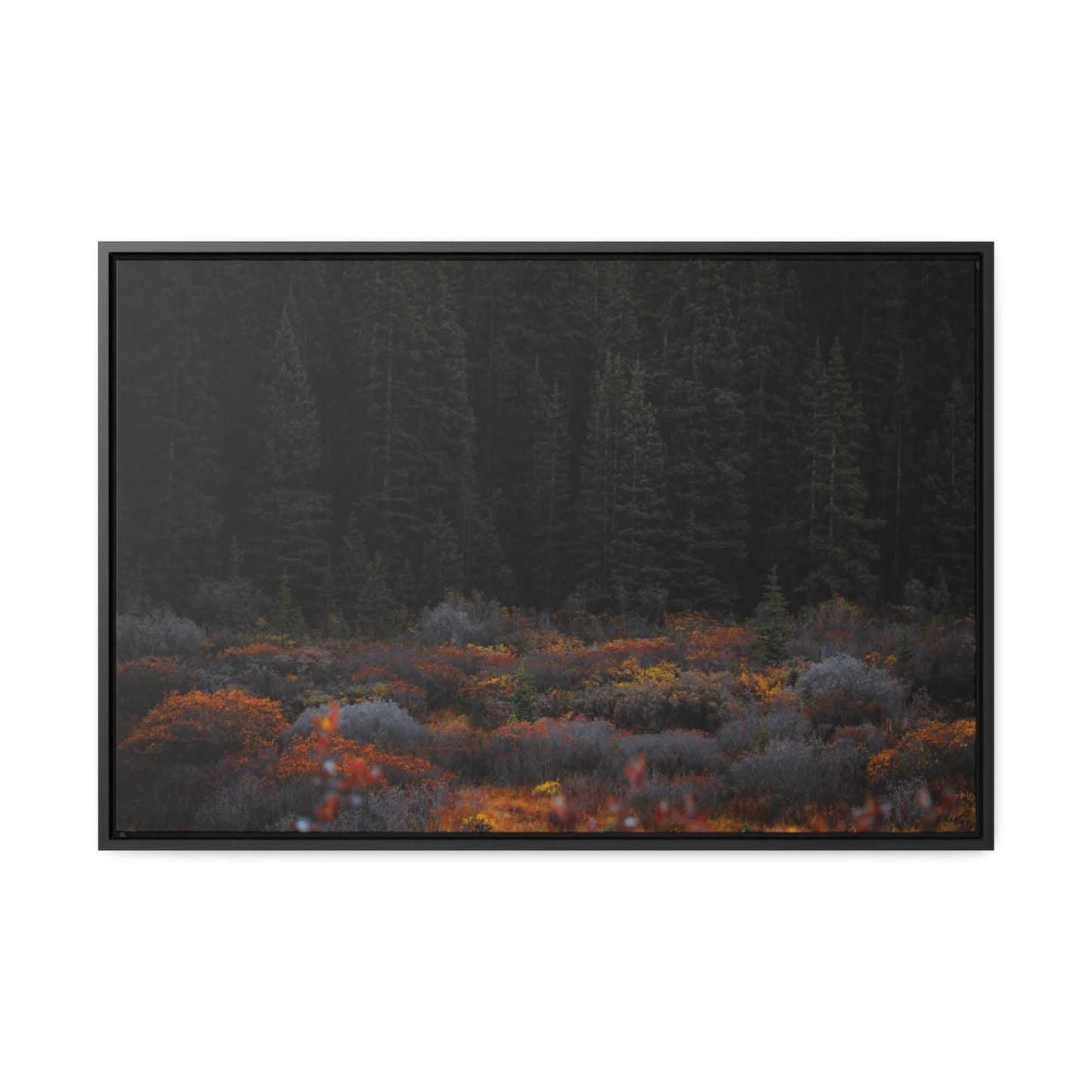 Moody Forest Framed Gallery Canvas