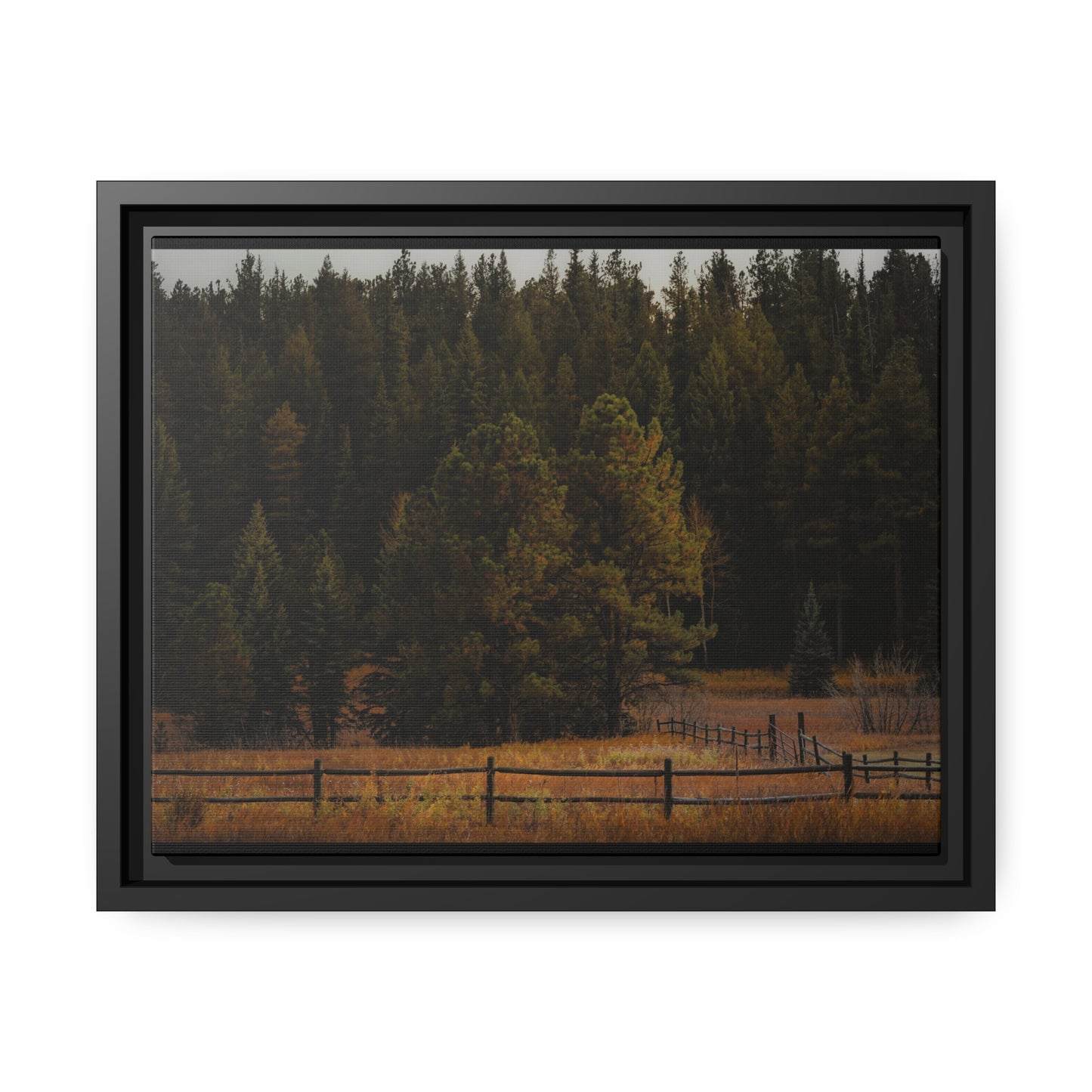 "Forest's Edge" Framed Canvas