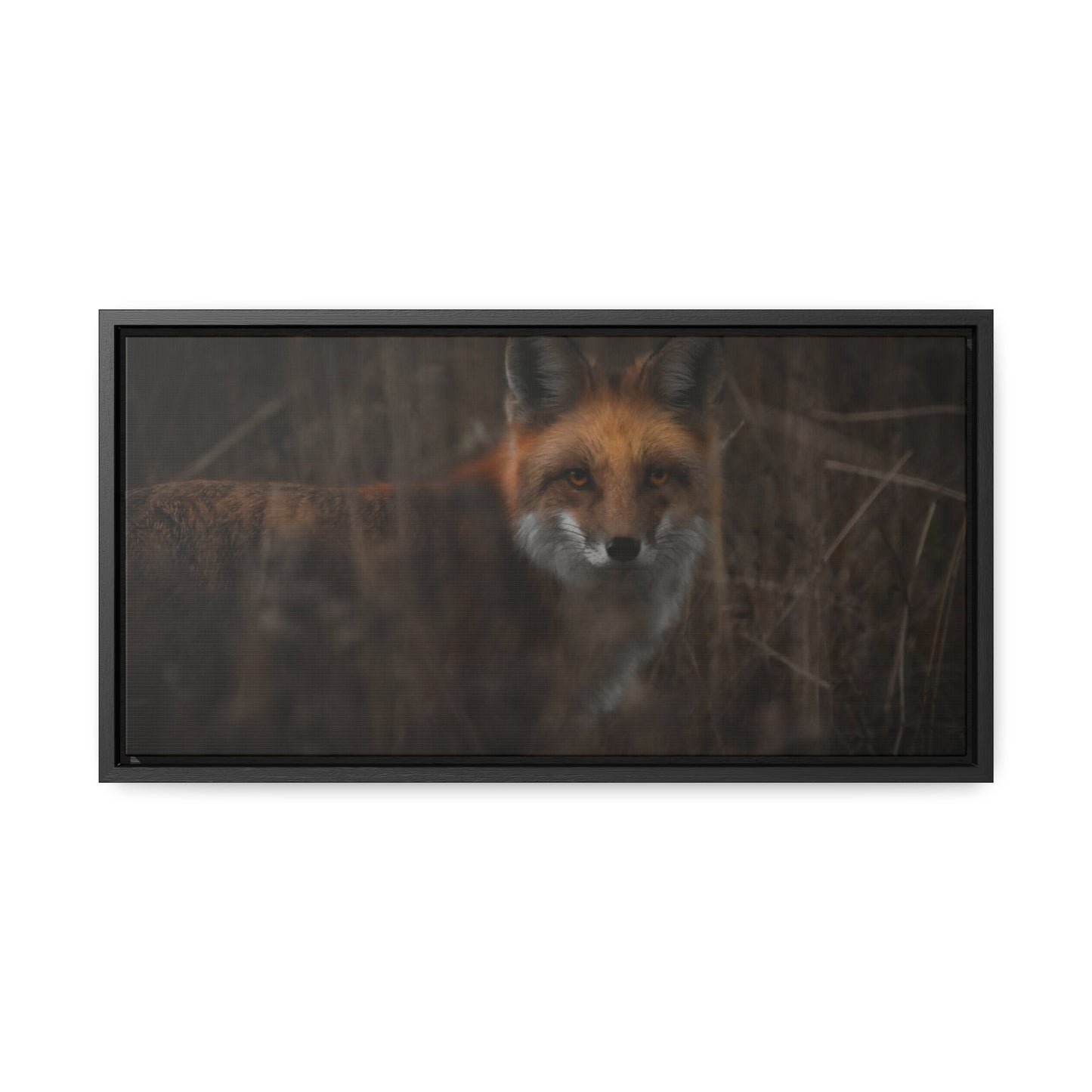 Fox Framed Gallery Canvas