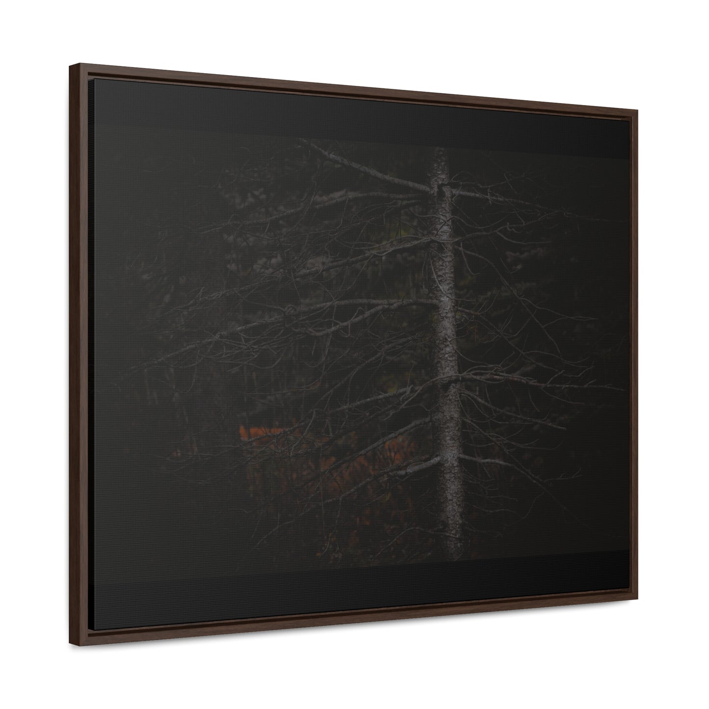 Beauty in Darkness Framed Gallery Canvas