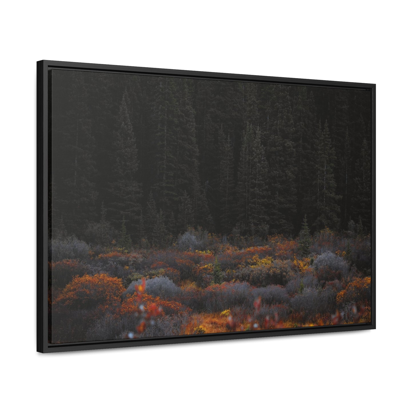 Moody Forest Framed Gallery Canvas