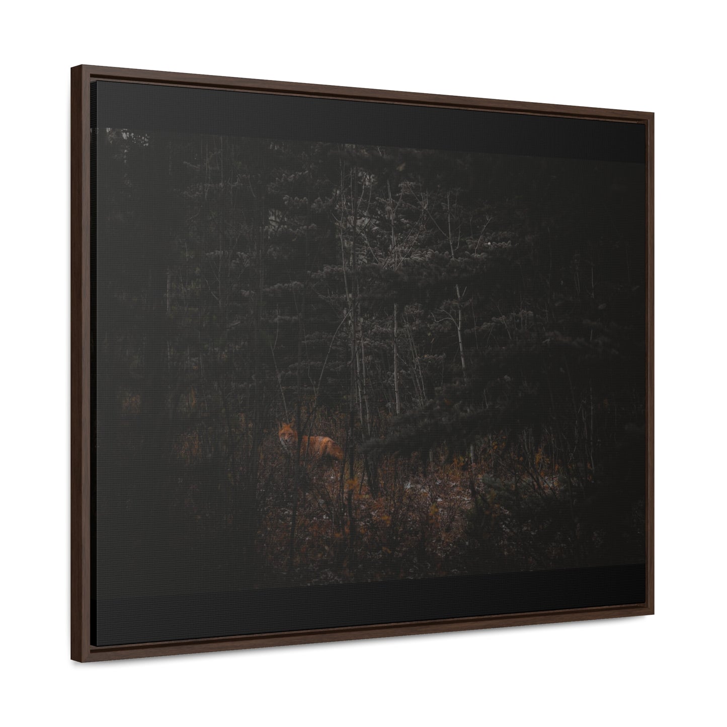 The Fox of the Forest Framed Gallery Canvas