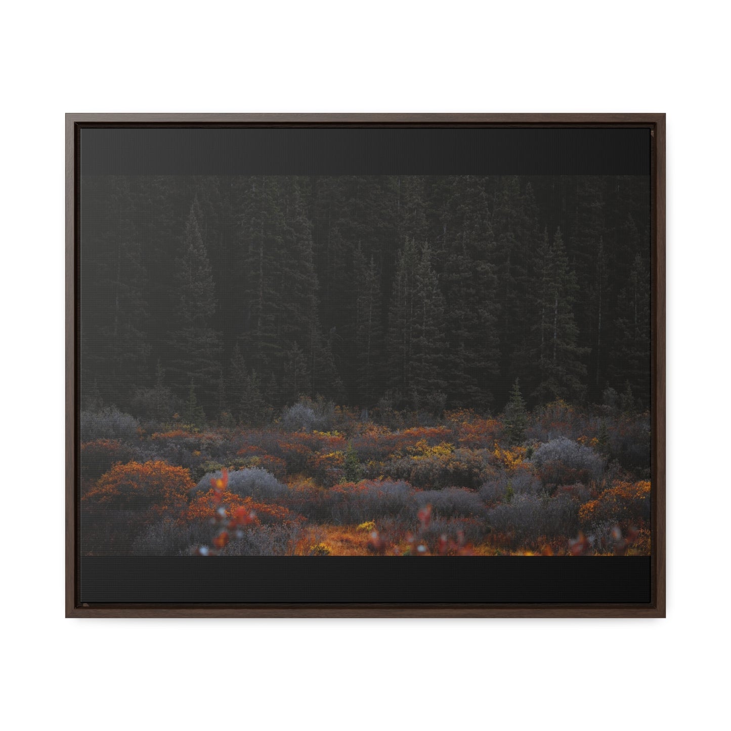 Moody Forest Framed Gallery Canvas