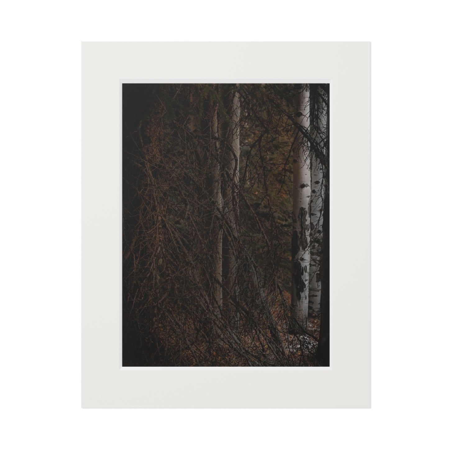 "The Dark Forest" Fine Art Prints (Passepartout Paper Frame)