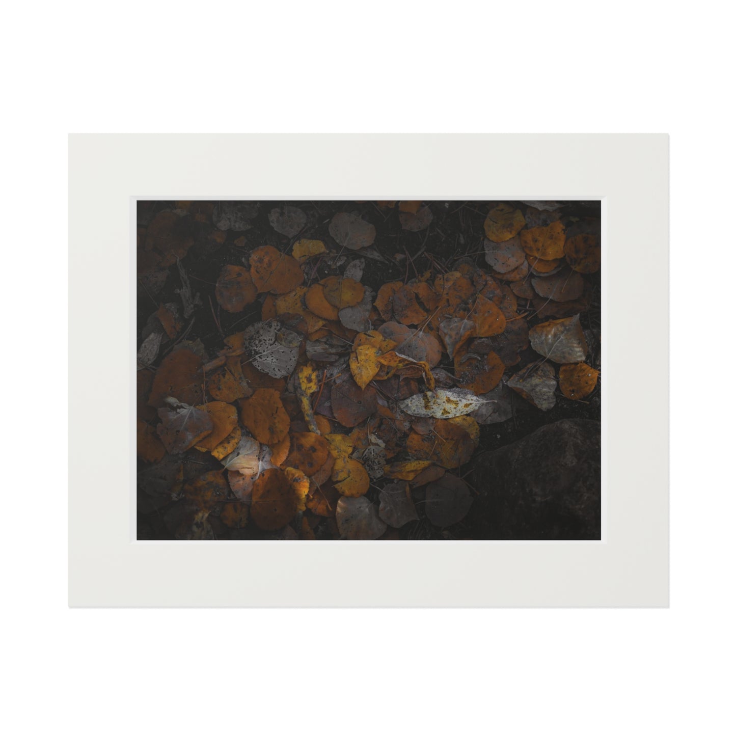 "Earthy Forest Floor" Fine Art Prints (Passepartout Paper Frame)