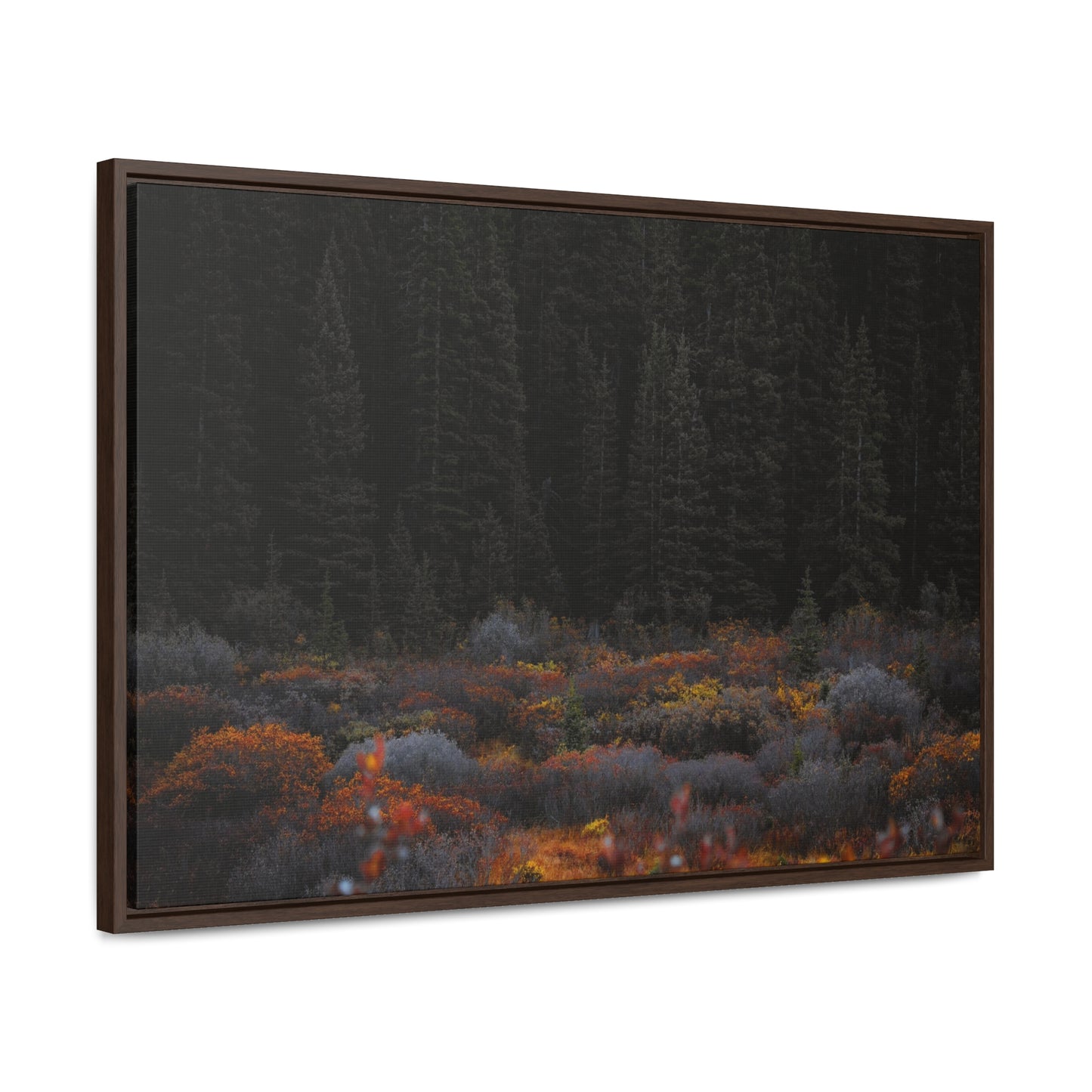 Moody Forest Framed Gallery Canvas