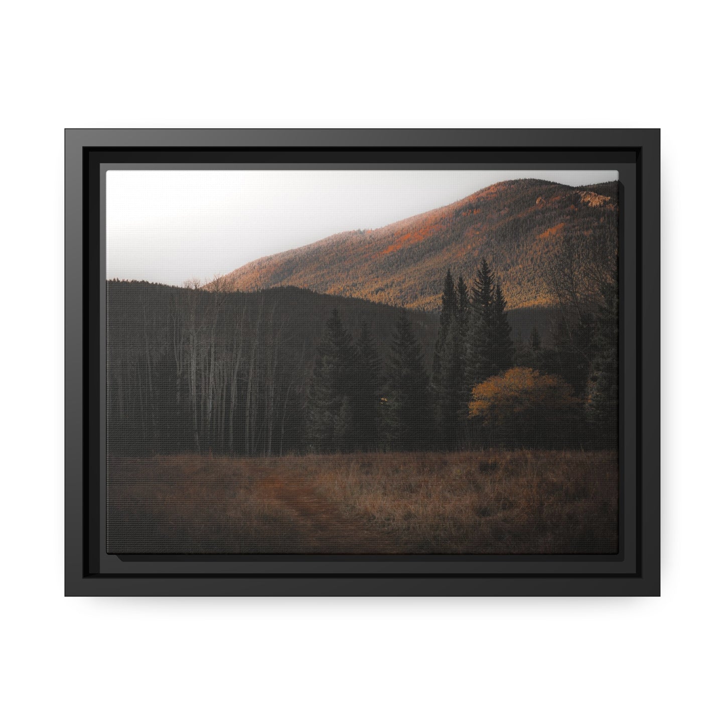 Evening Glow Framed Canvas