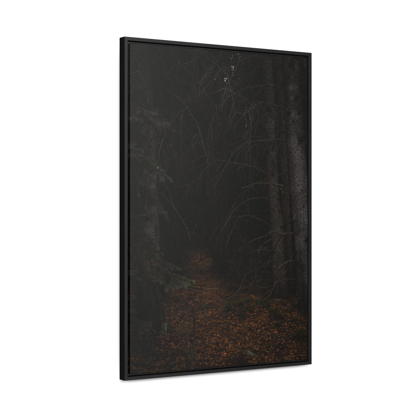 Into the Woods Gallery Canvas Wraps, Vertical Frame