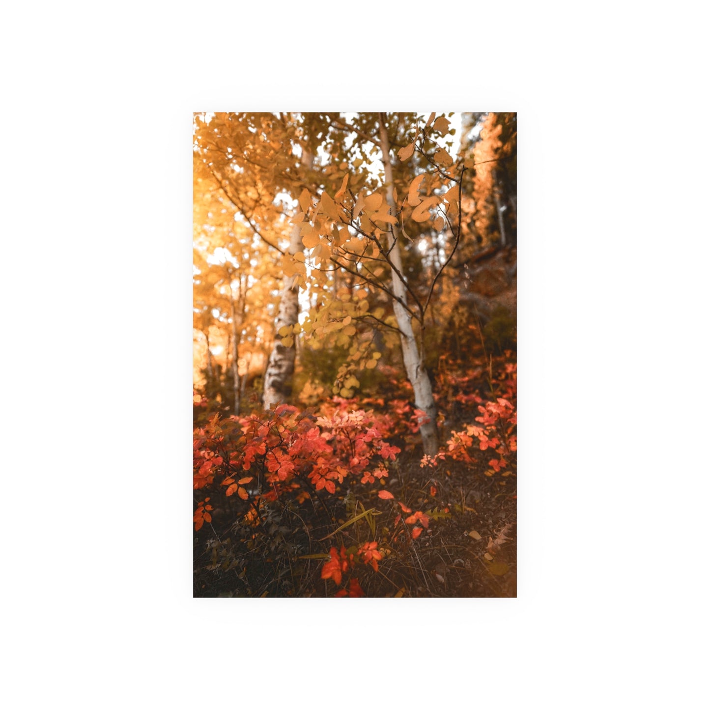 "Hello Autumn" Fine Art Print