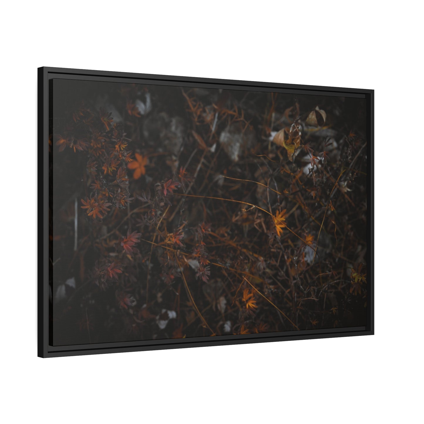 "Autumn's Last Breath" Framed Canvas