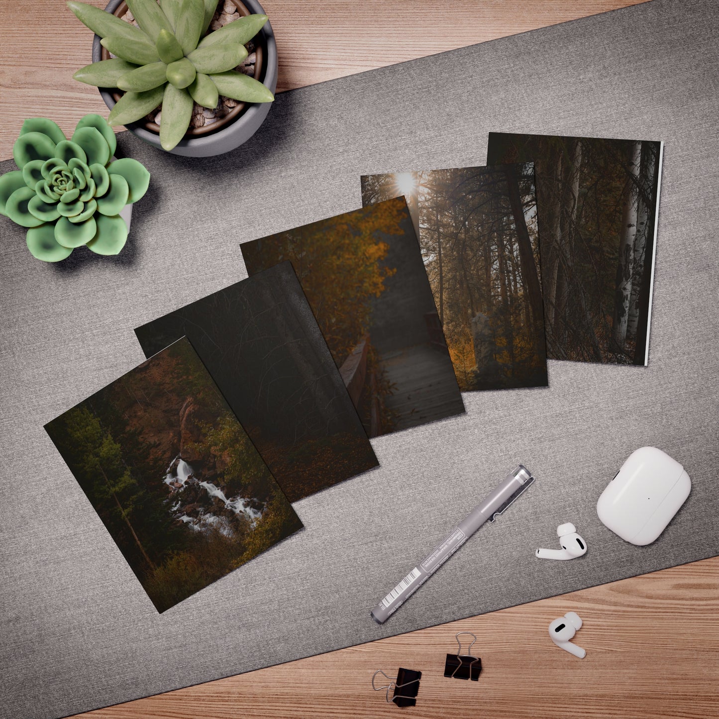"Autumn Trails" Multi-Design Greeting Cards (5-Pack)