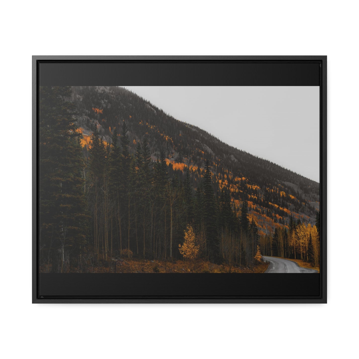 The Lonely Road Framed Gallery Canvas