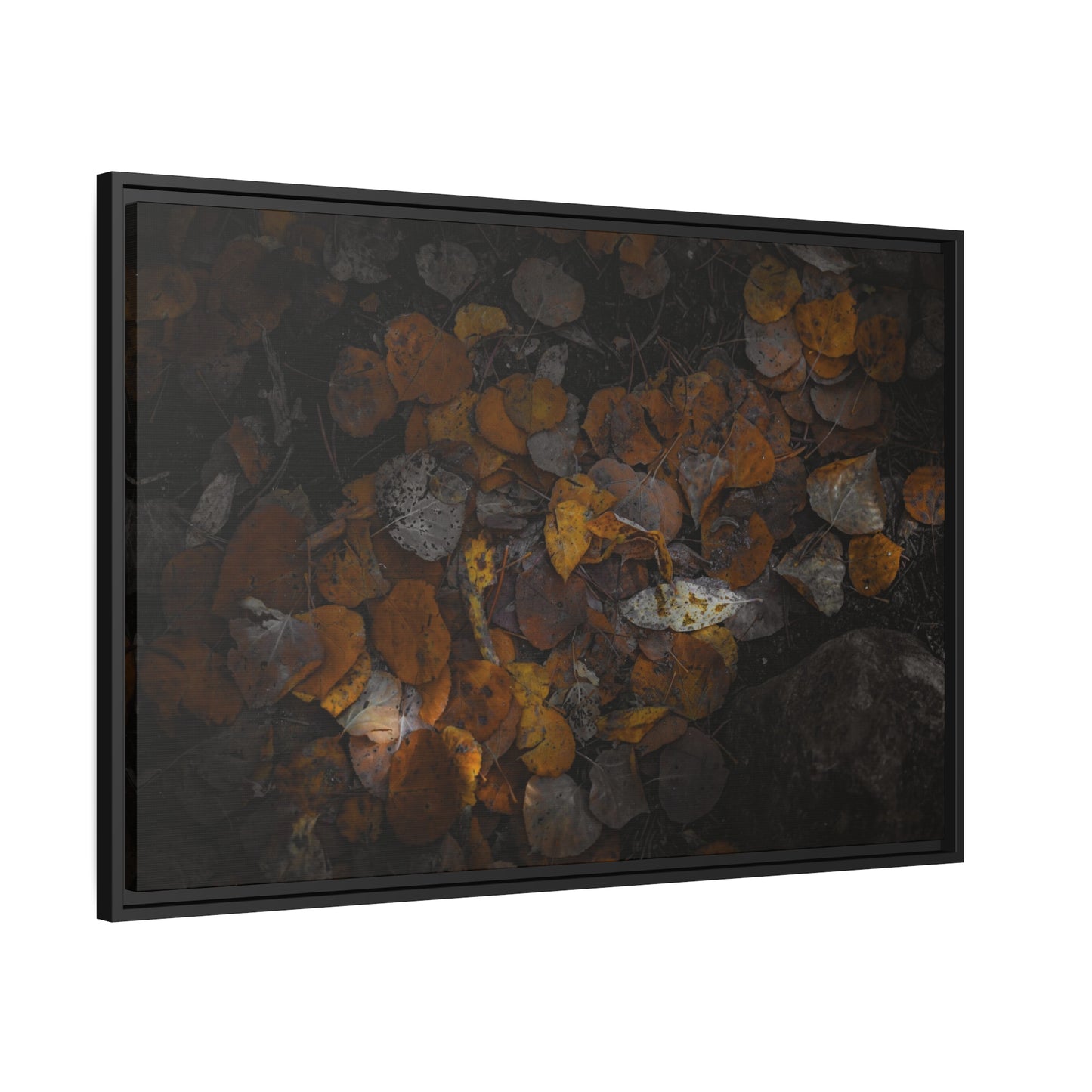 Earthy Forest Floor Wrapped Framed Canvas