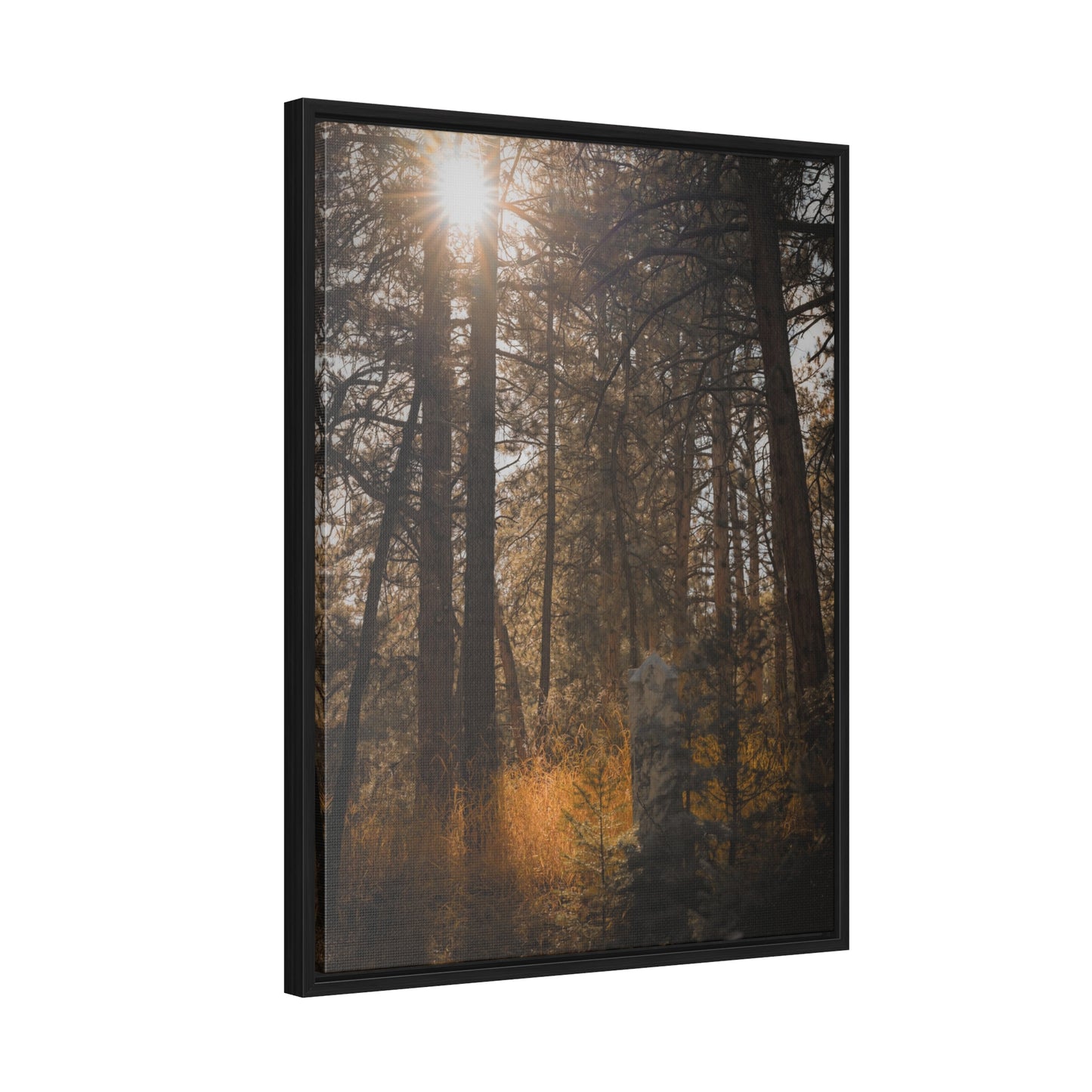 The Sun in the Cemetery Gallery Canvas Wraps, Vertical Frame